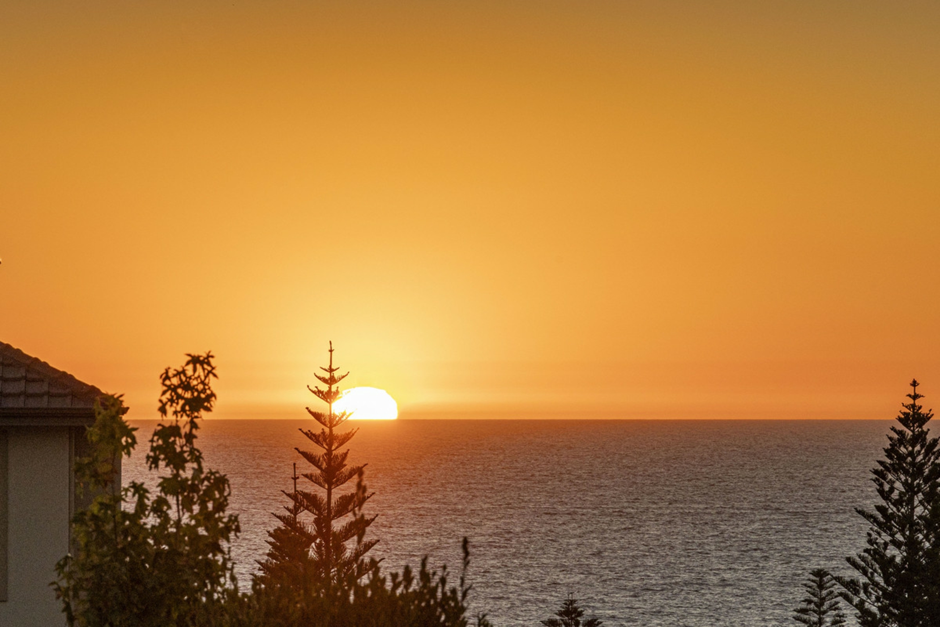 31 Fairport Vista, MINDARIE