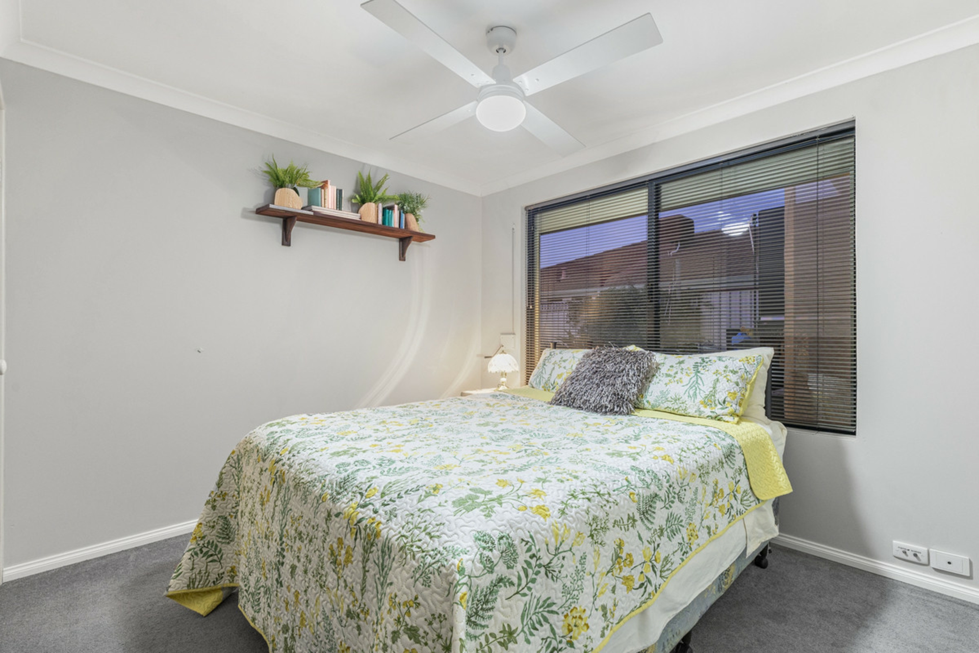 27 Harrington Avenue, TAPPING