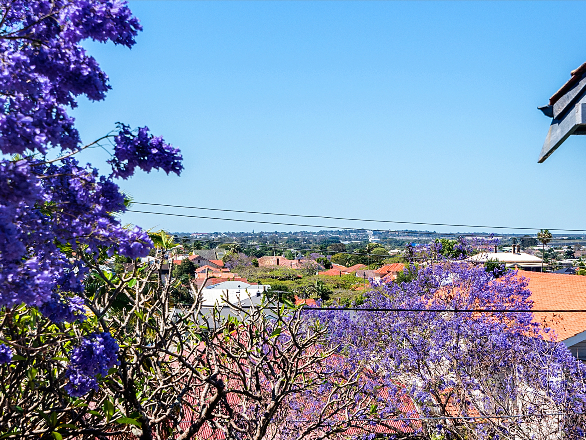 27-29 Windermere Road, HAMILTON