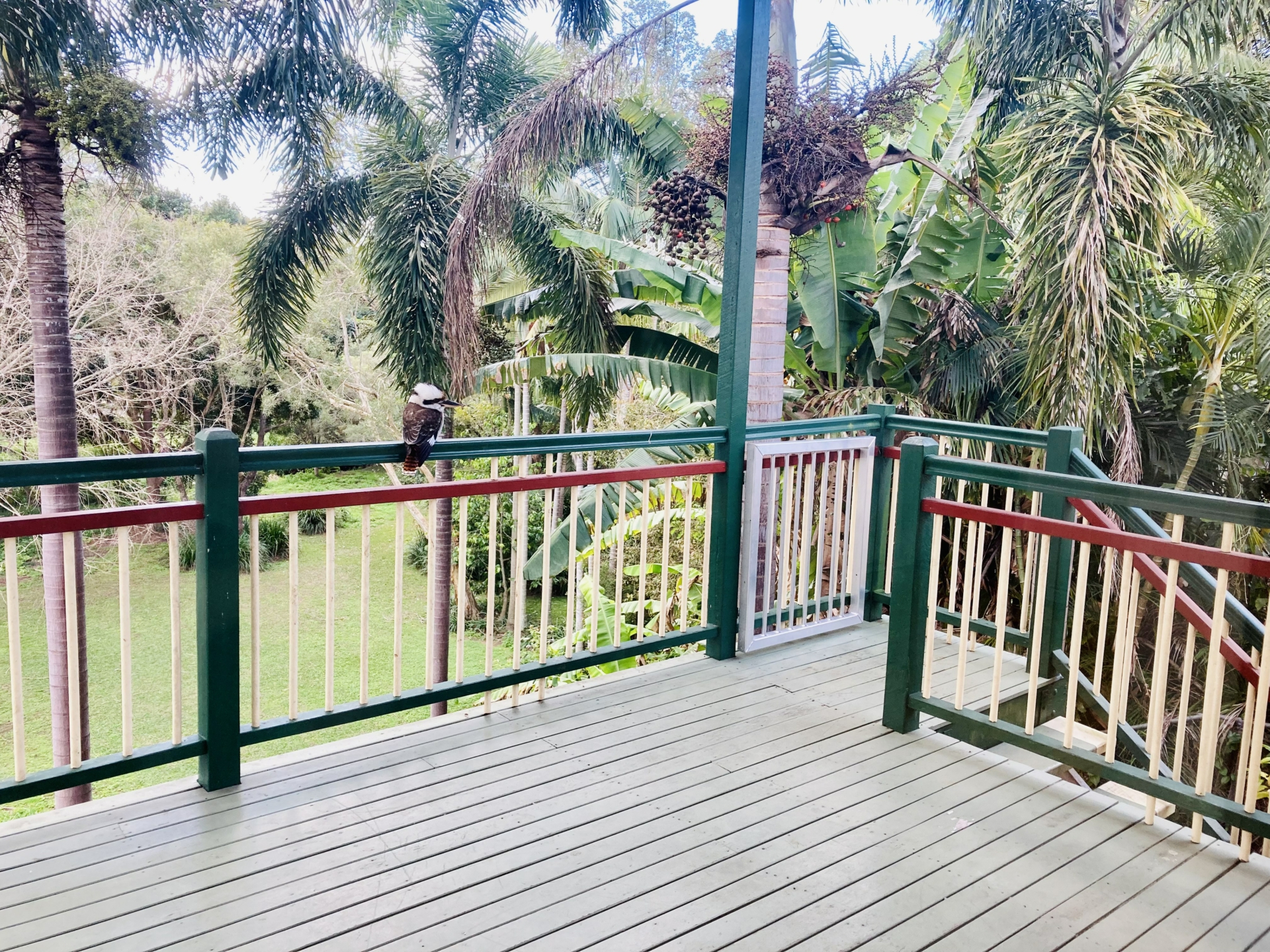 19 Howie Street, CLAYFIELD
