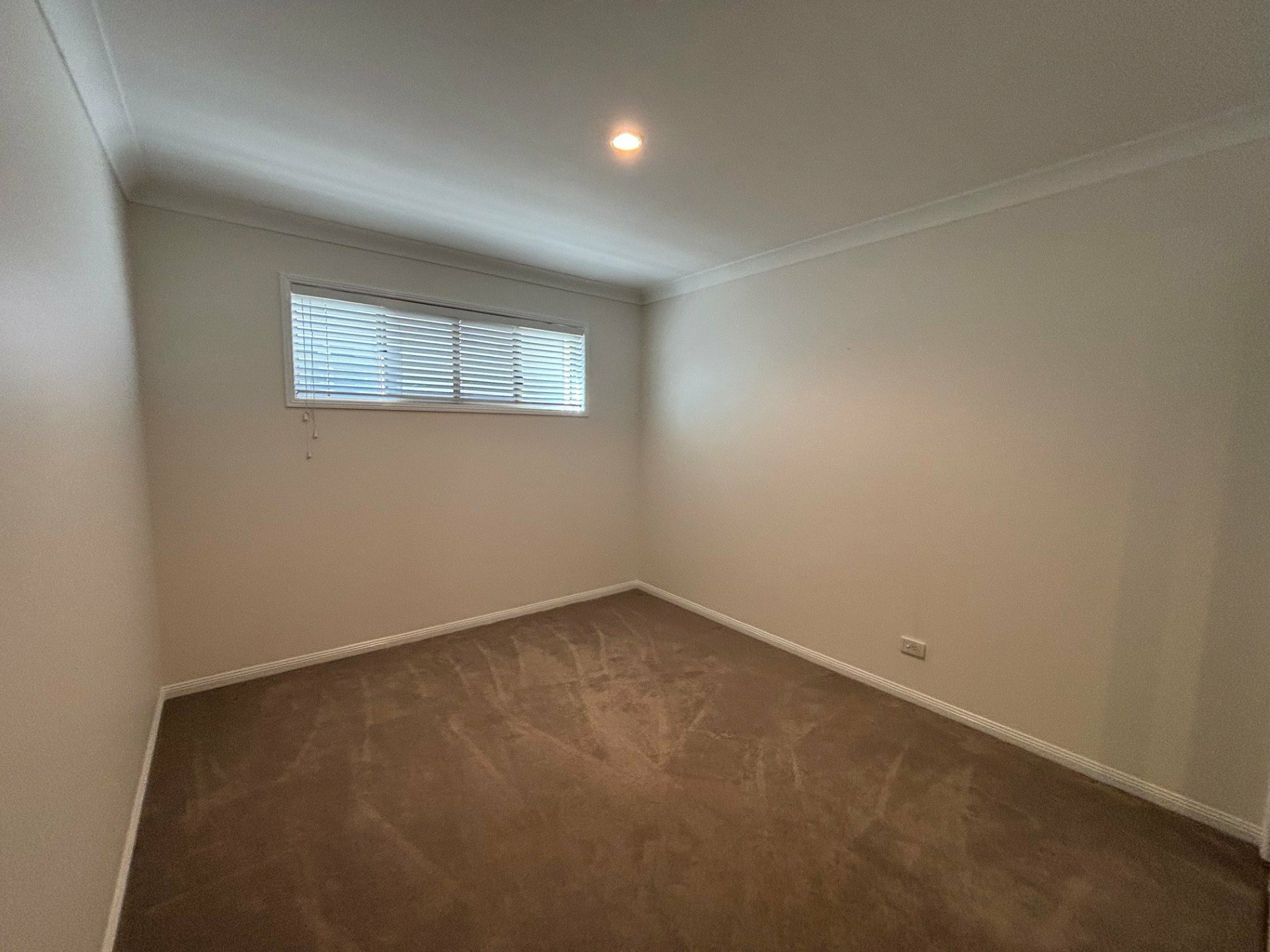 7 Rees Street, CLAYFIELD