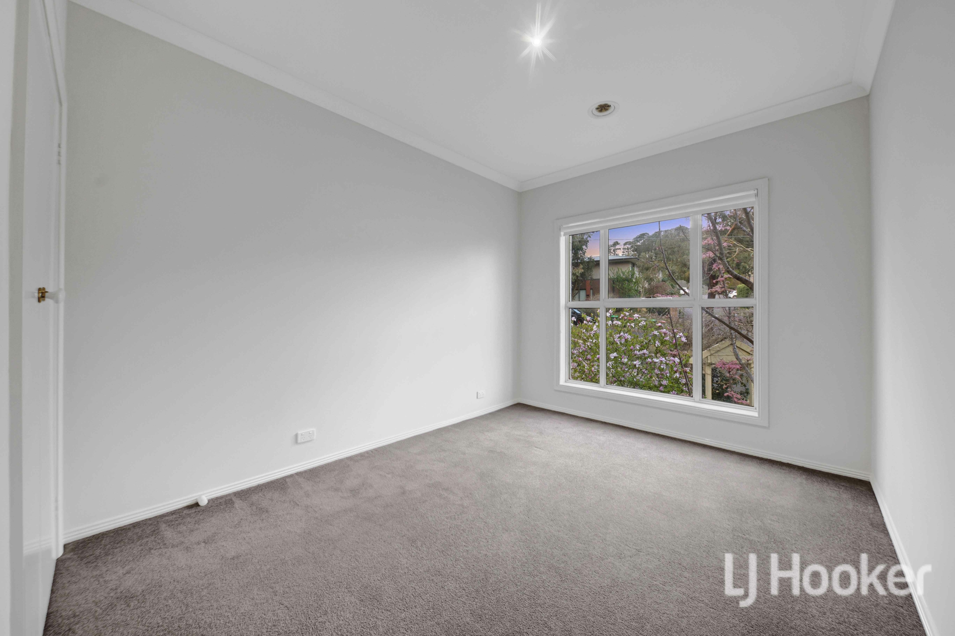 419 Sherrard Street — photo 9 of 18