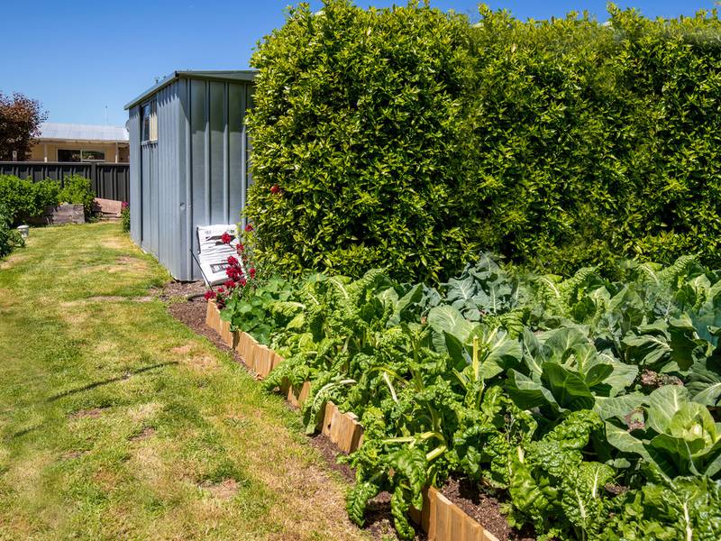 77 Hazlett Street, CLYDE