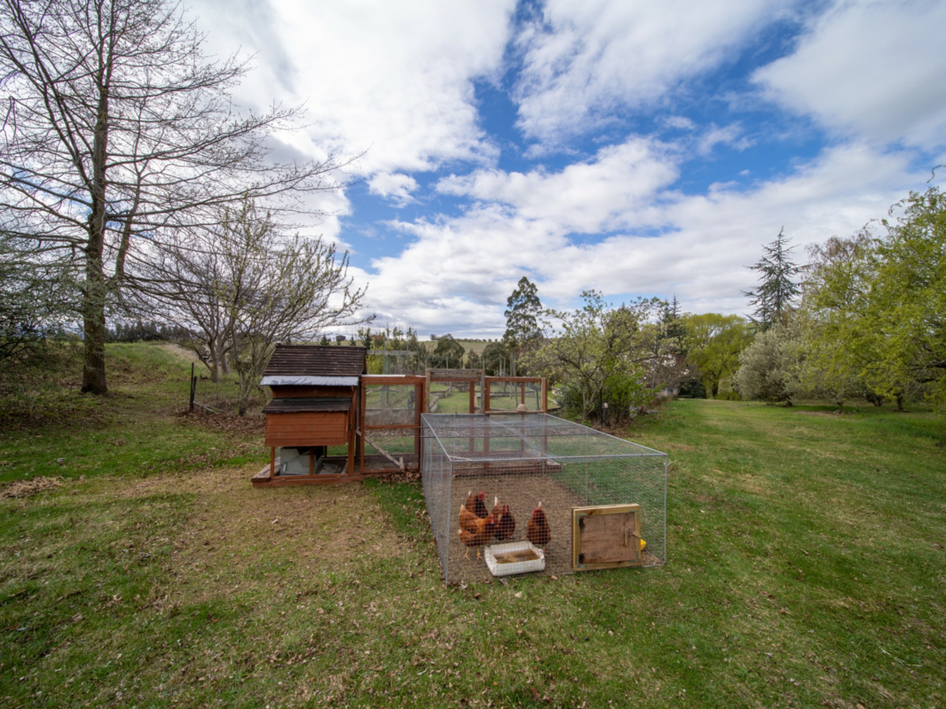 70 Ferris Road, RD 3, ALEXANDRA
