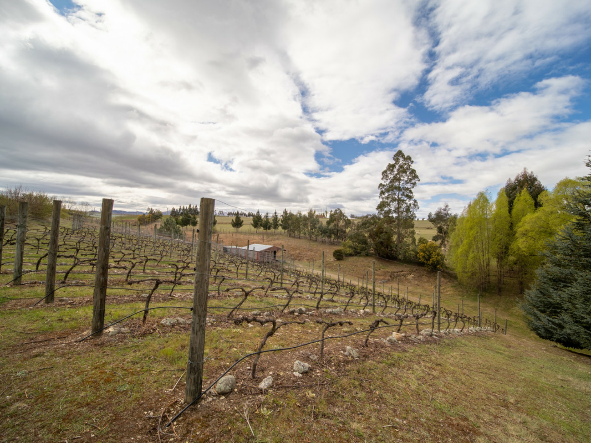 70 Ferris Road, RD 3, ALEXANDRA