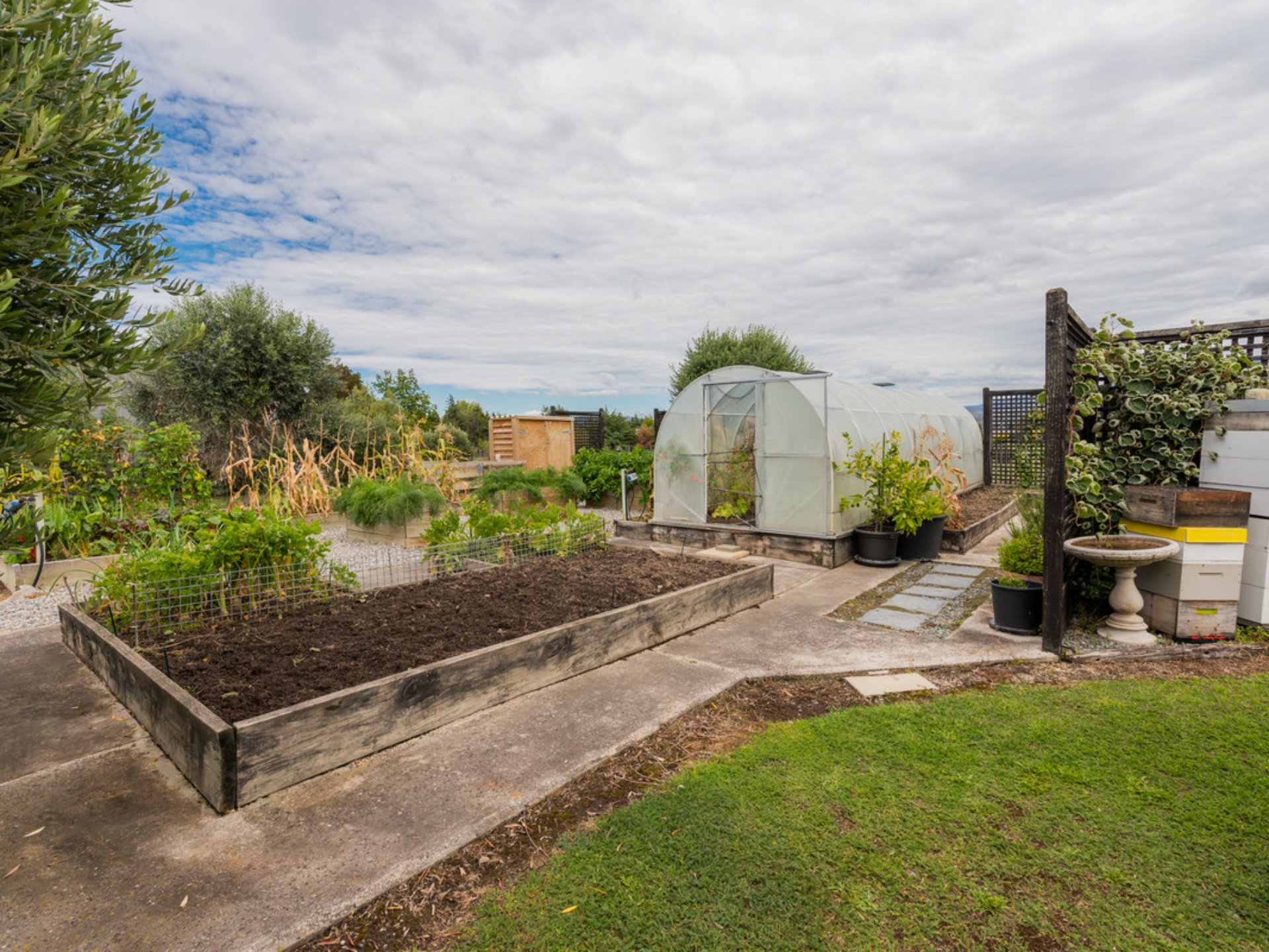 169 Airport Road, ALEXANDRA