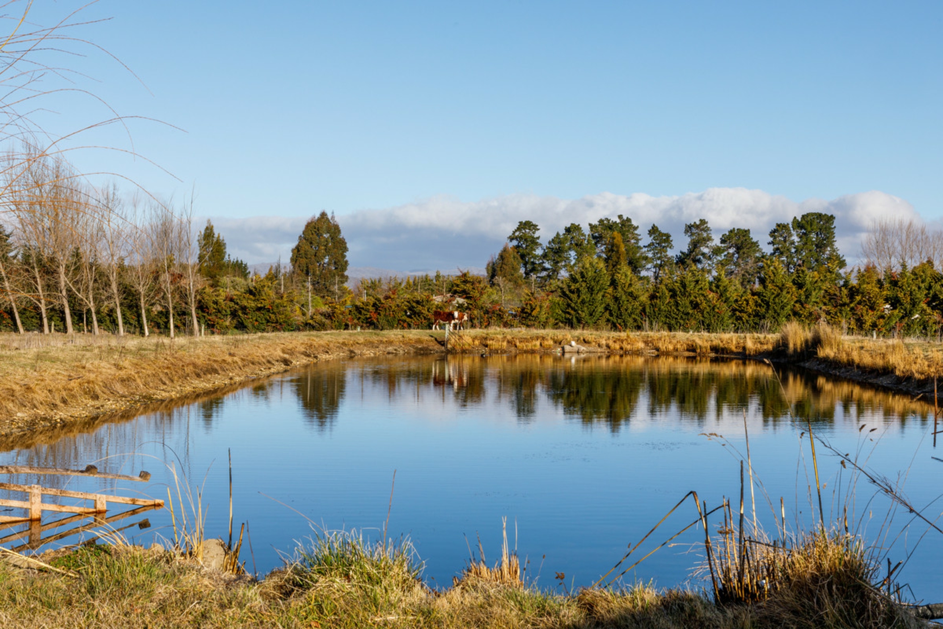 446 Letts Gully Road, ALEXANDRA