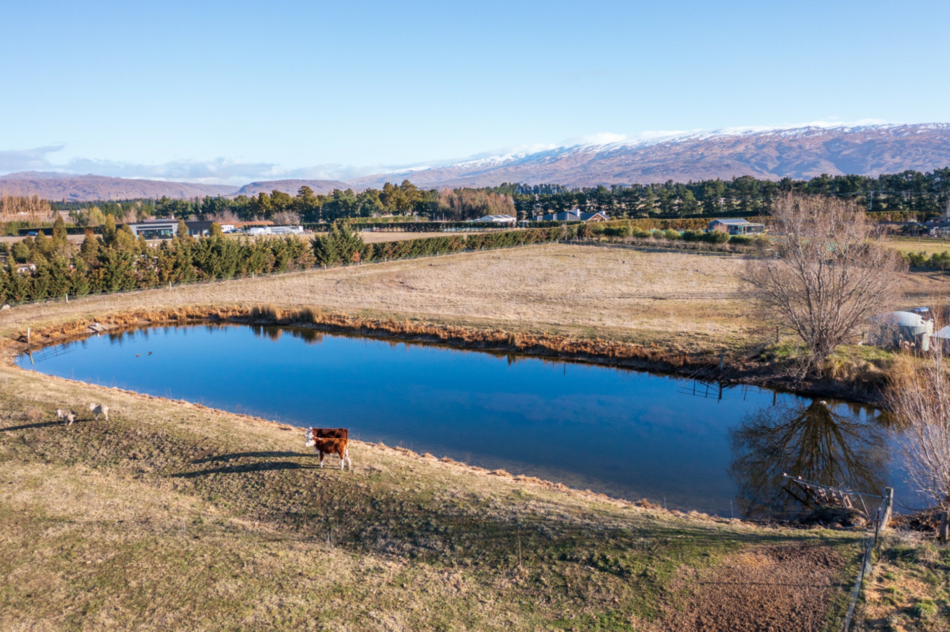 446 Letts Gully Road, ALEXANDRA