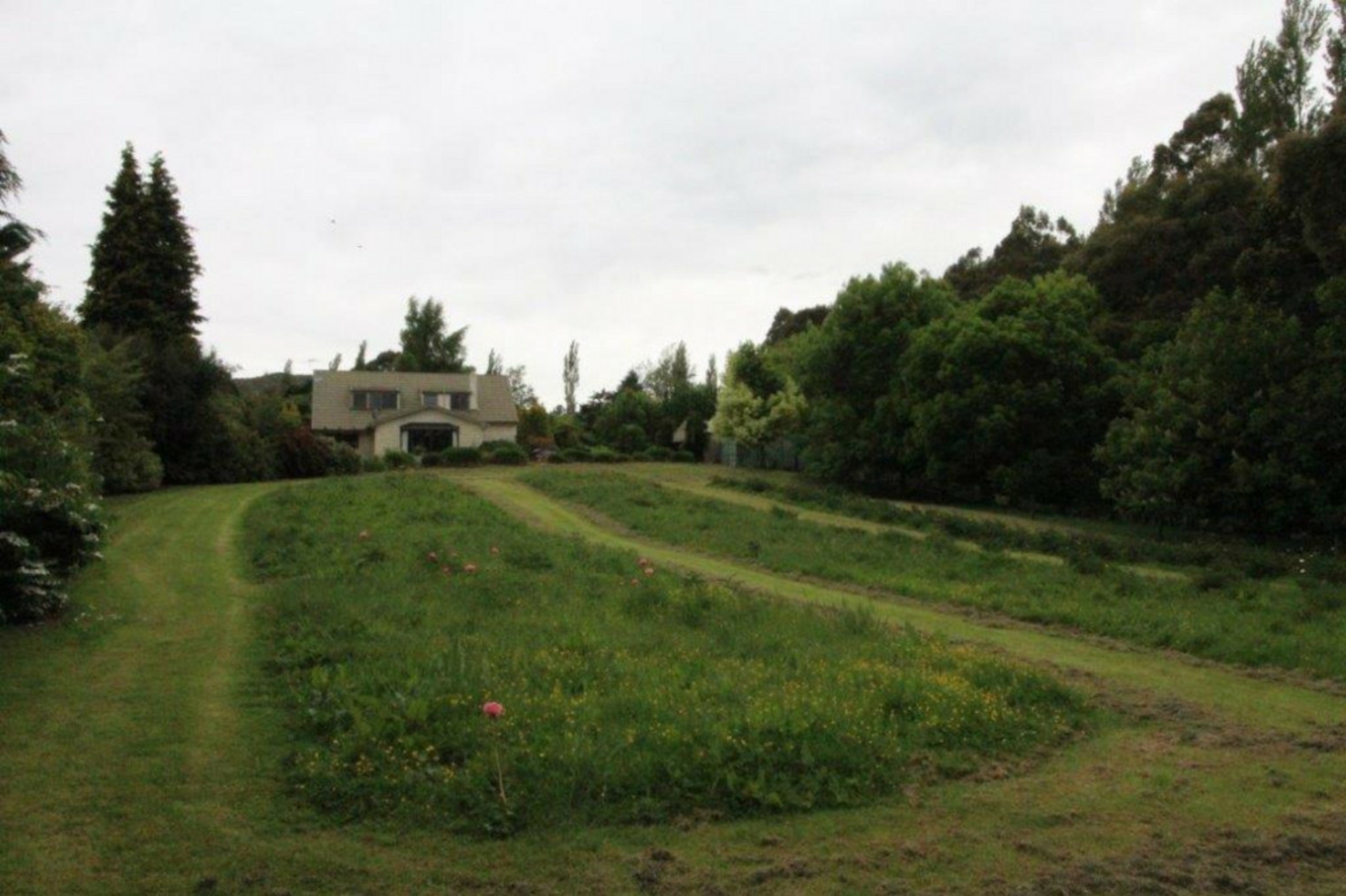 72 Bush Street Lumsden Lifestyle for Sale LJ Hooker