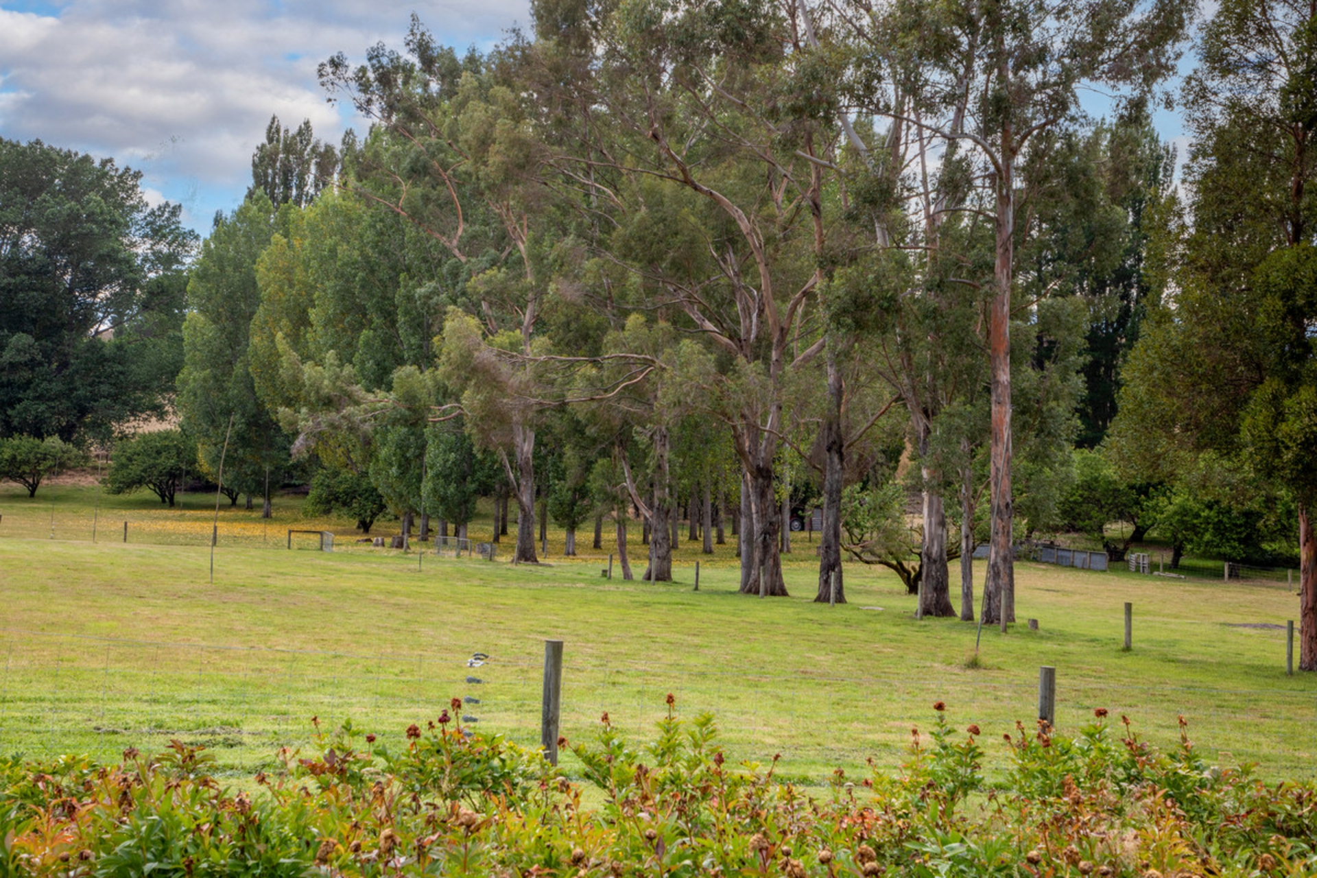 569 Dunstan Road, ALEXANDRA