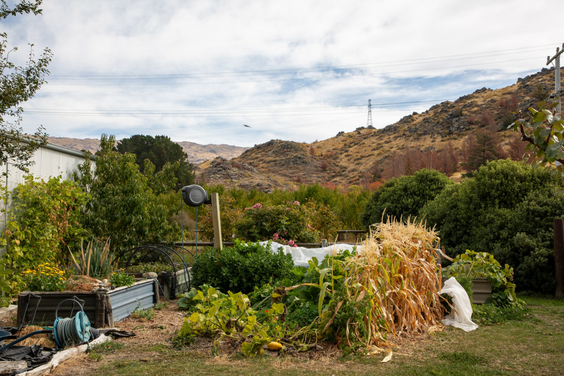 58 Hawley Road, ALEXANDRA