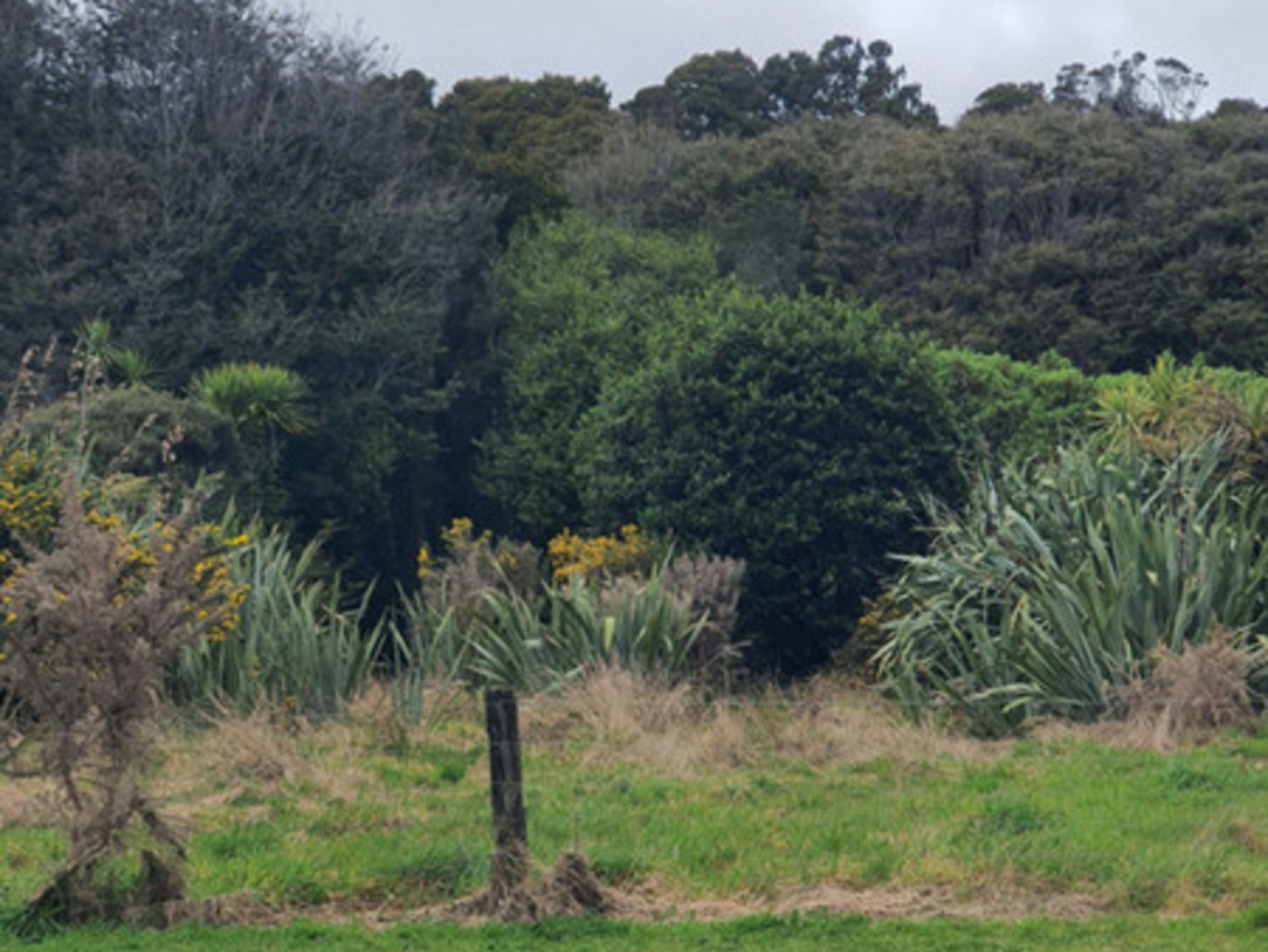 1929 Hannah's Clearing Haast West Coast Residential for Sale LJ Hooker