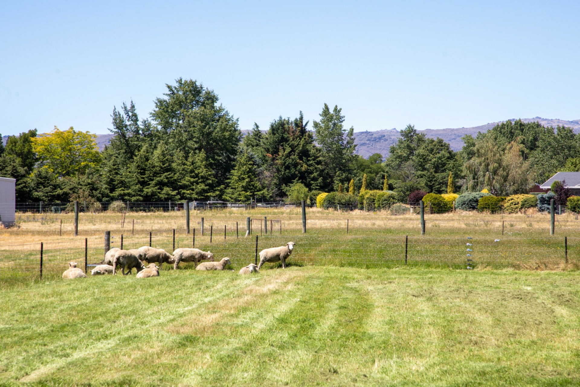 171 Airport Road, ALEXANDRA