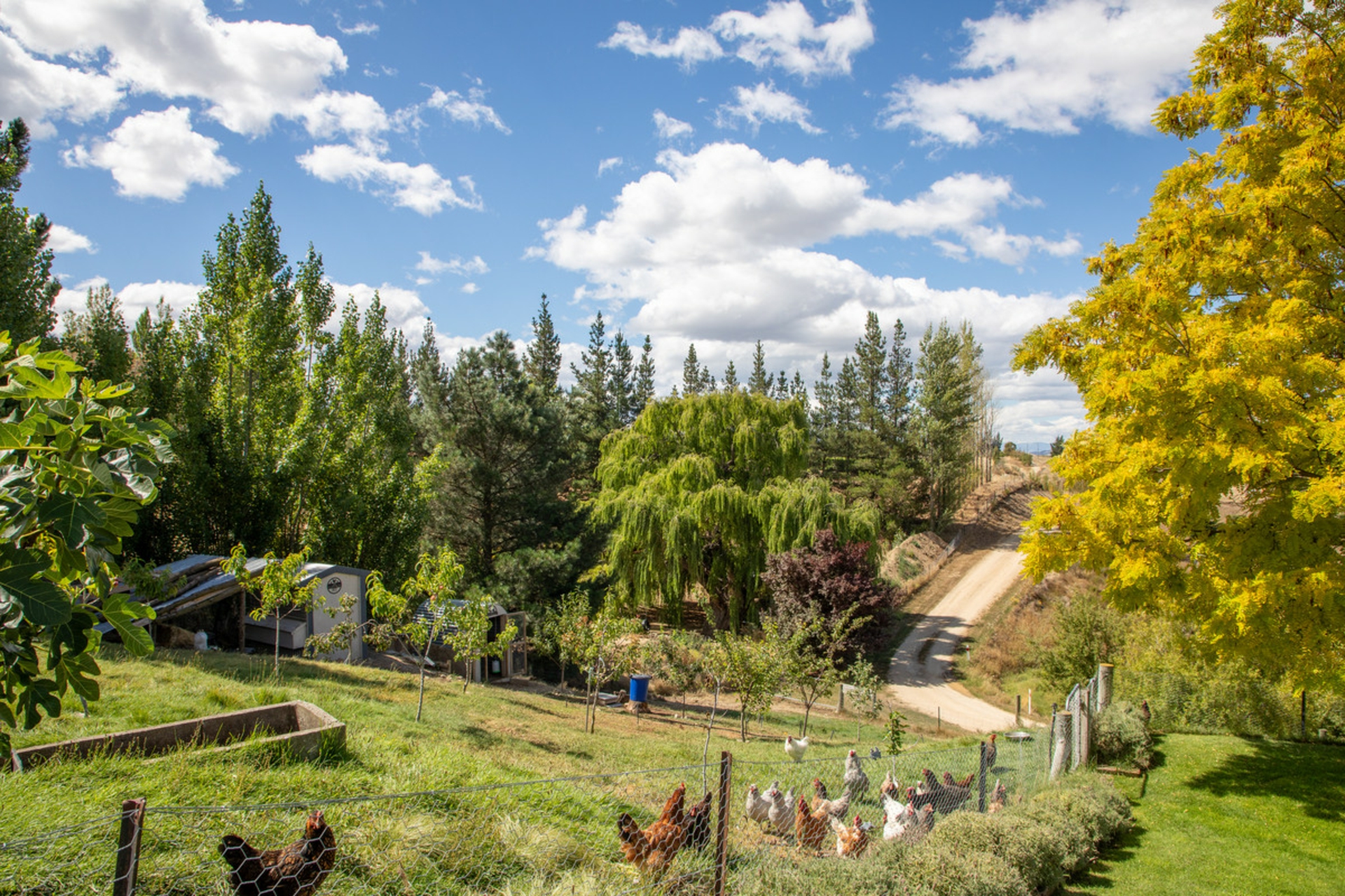 233 Letts Gully Road, ALEXANDRA