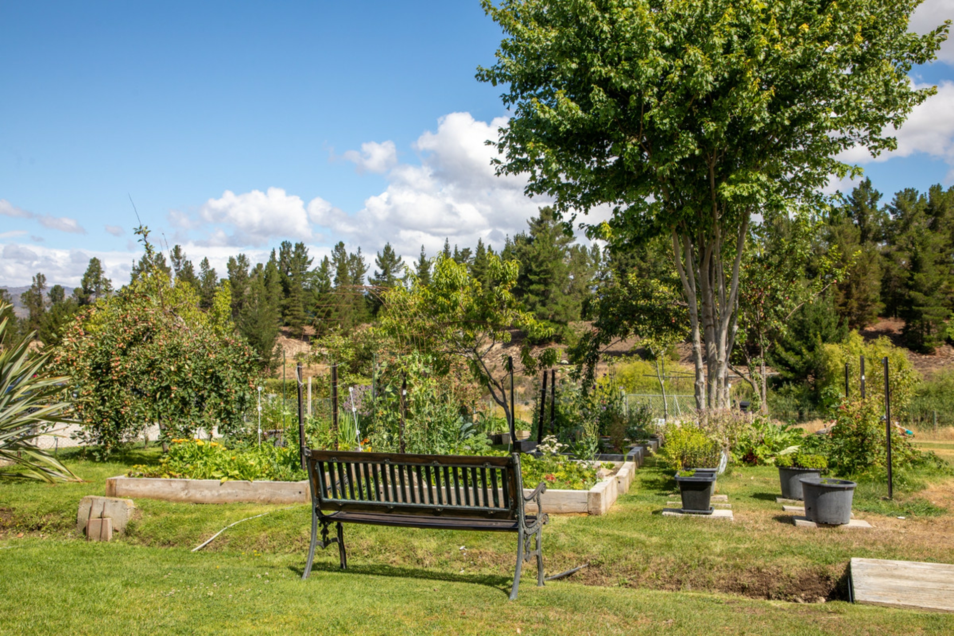 233 Letts Gully Road, ALEXANDRA