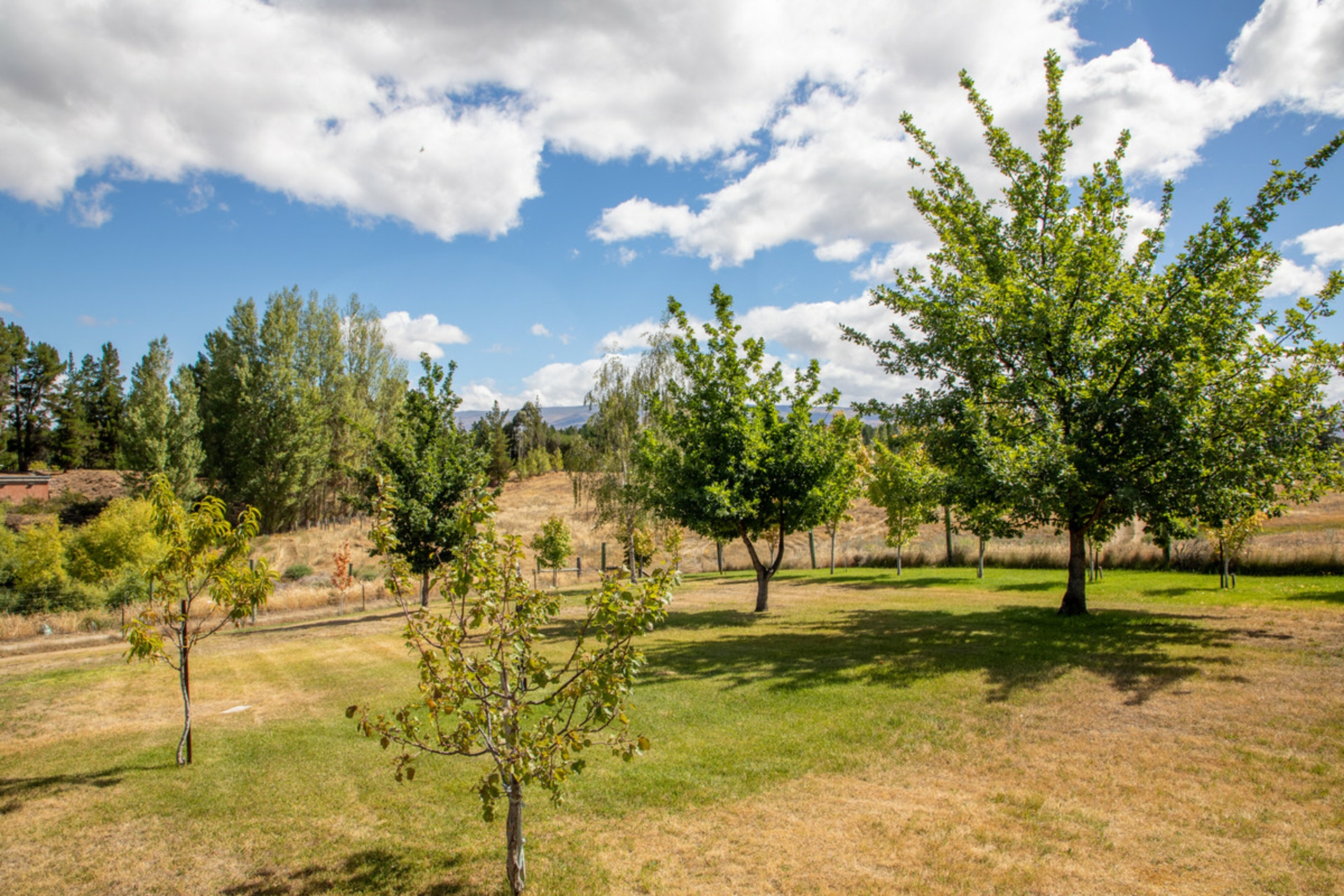 233 Letts Gully Road, ALEXANDRA