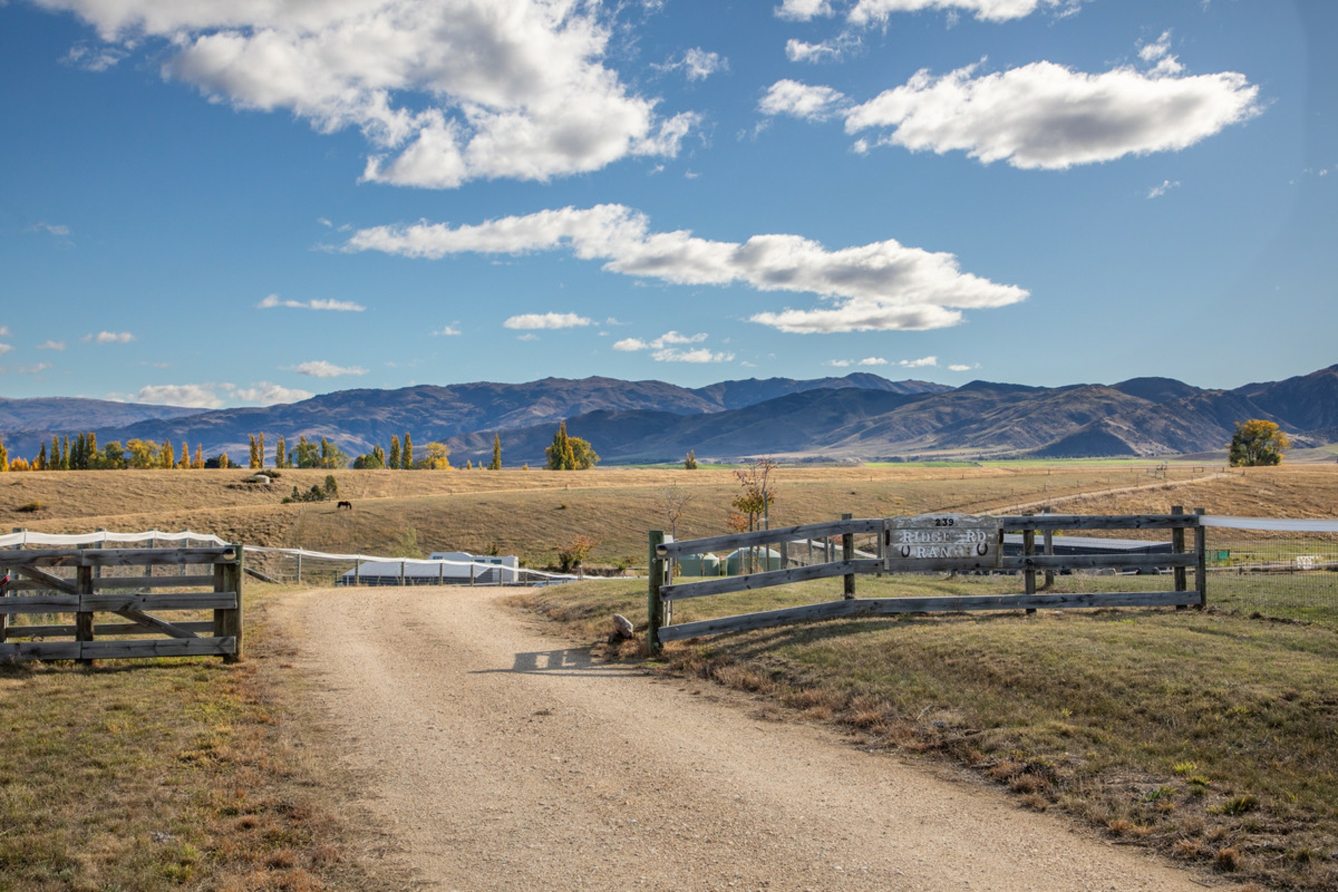239 Nelsen Ridge Road, ALEXANDRA