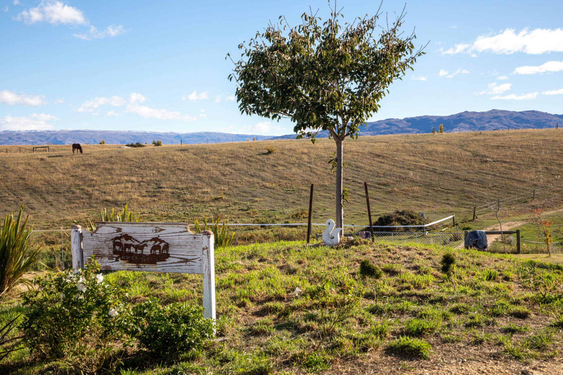 239 Nelsen Ridge Road, ALEXANDRA