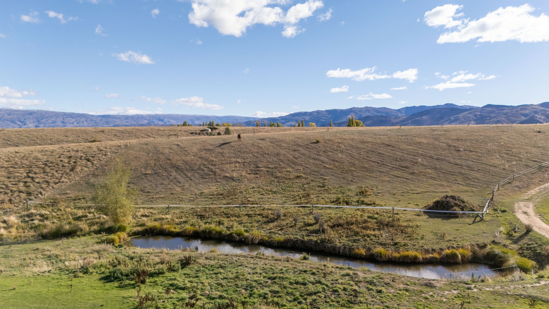 239 Nelsen Ridge Road, ALEXANDRA