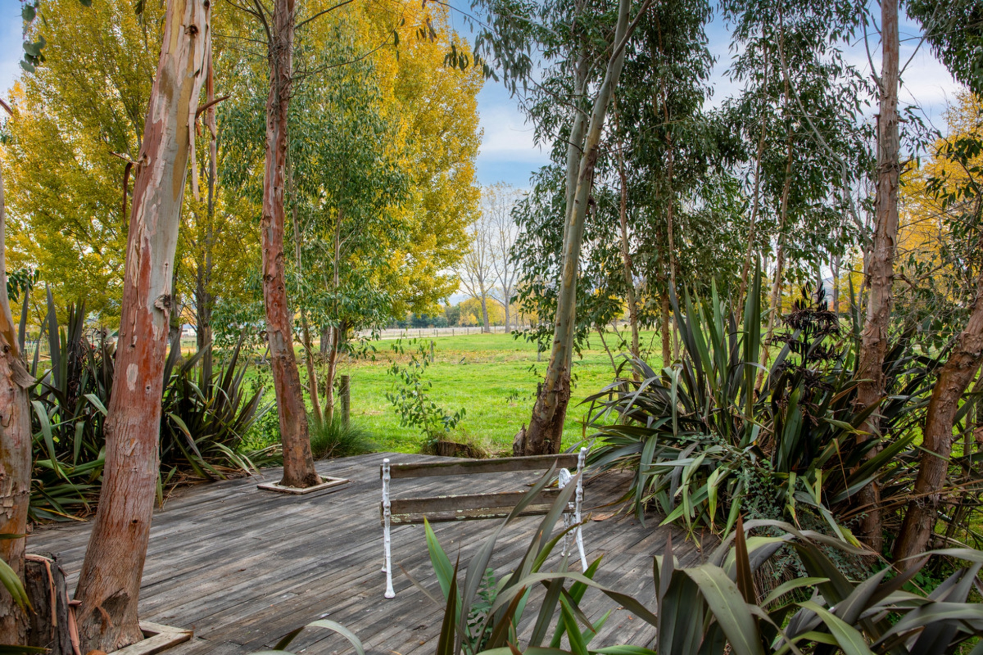 208 Fisher Lane, ALEXANDRA