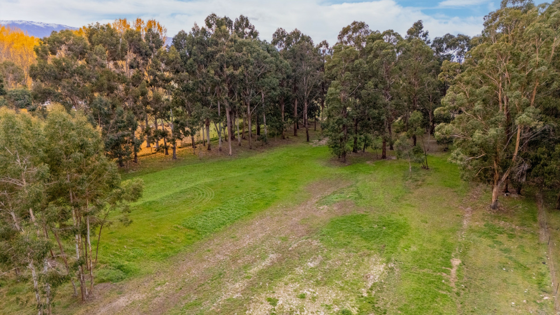 208 Fisher Lane, ALEXANDRA