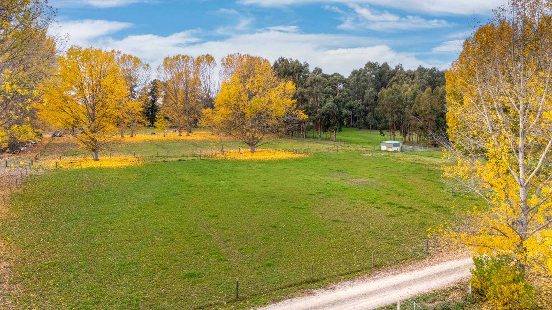 208 Fisher Lane, ALEXANDRA