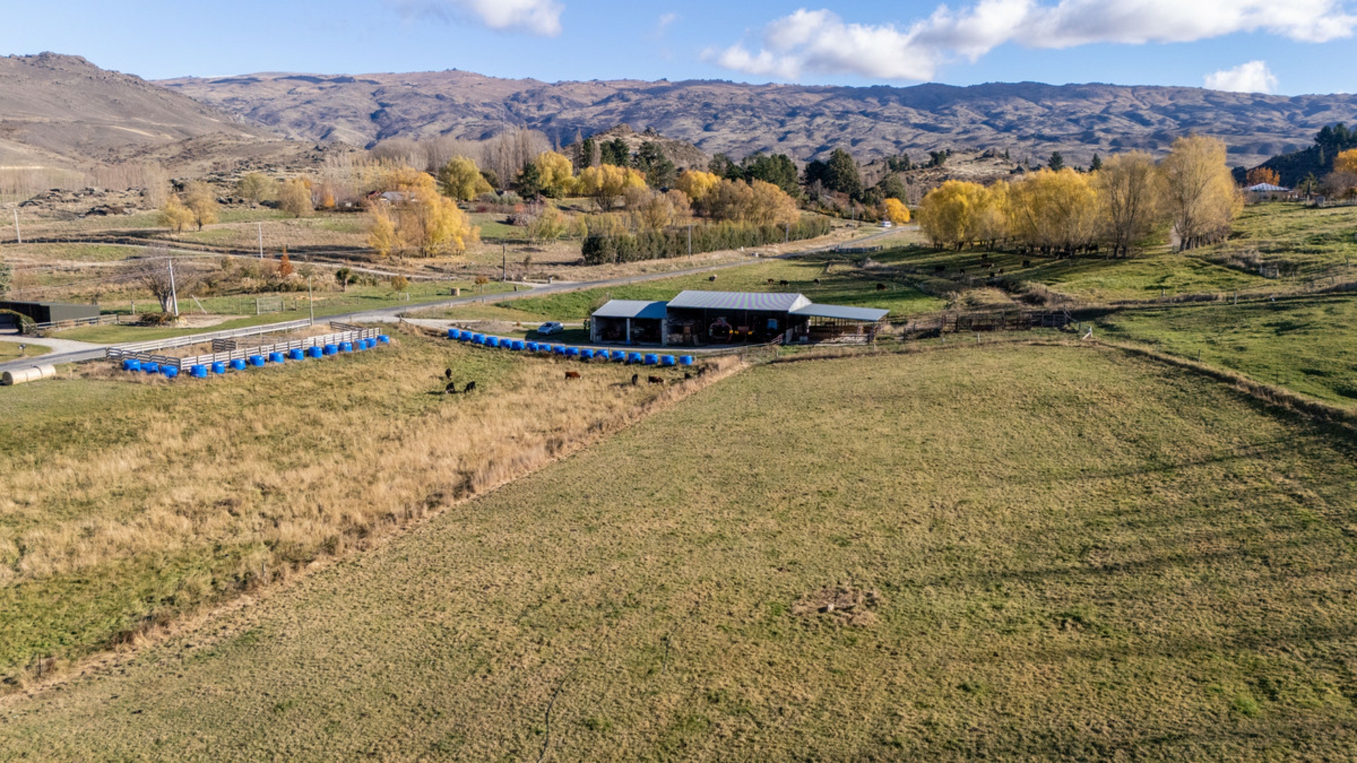202 Blackman Road, ALEXANDRA
