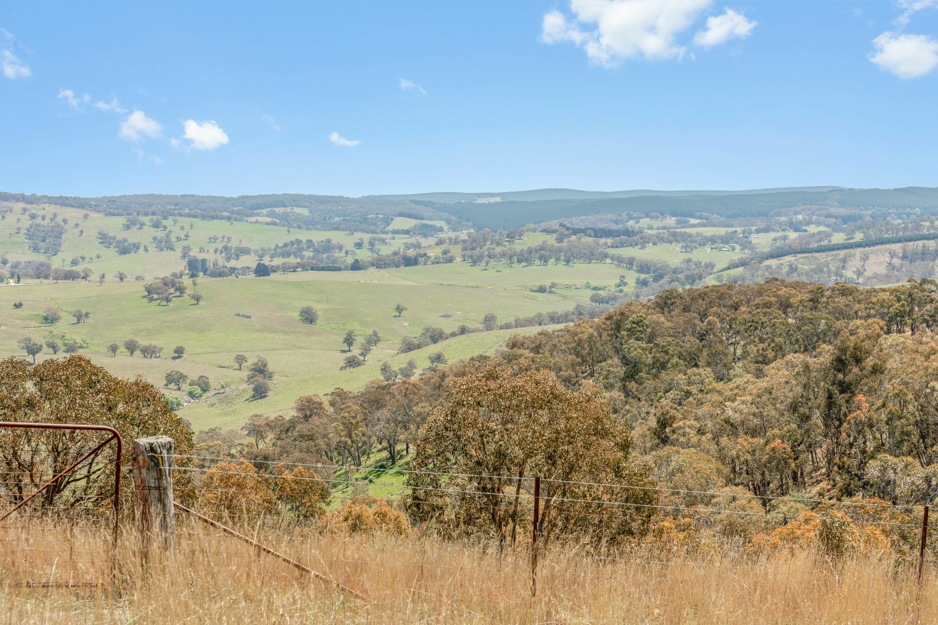 Lot 6 Curly Dick Road Meadow Flat NSW Property Details LJ Hooker