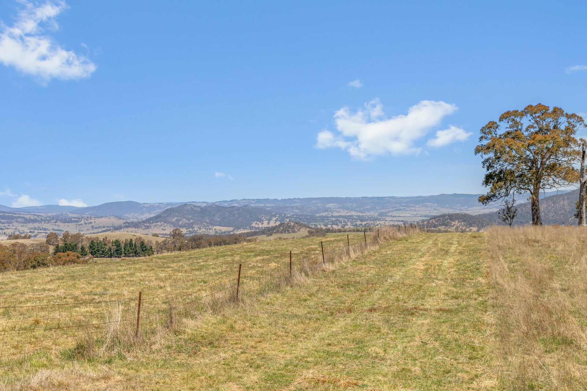 Lot 6 Curly Dick Road Meadow Flat NSW - Property Details - LJ Hooker