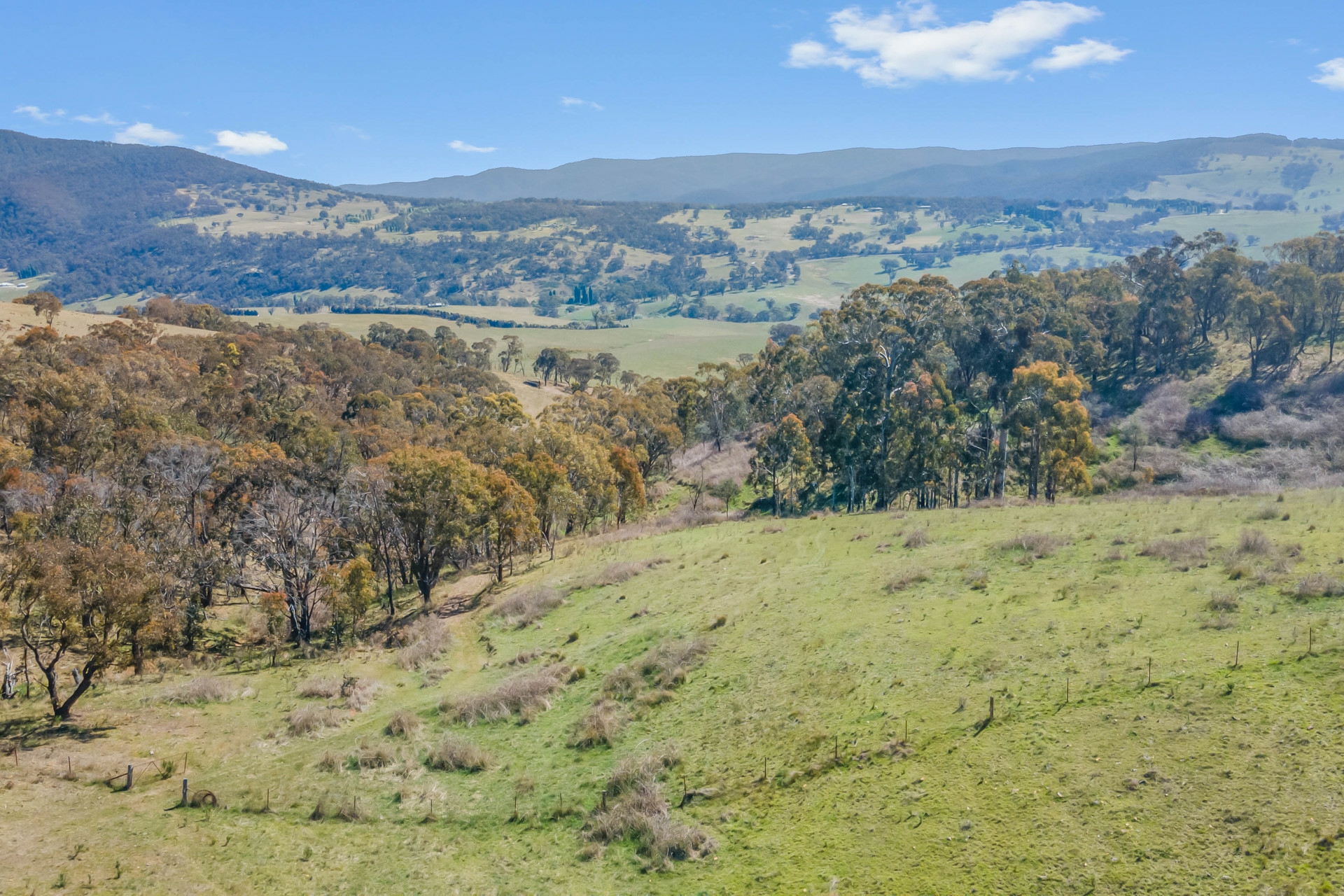 Lot 6 Curly Dick Road Meadow Flat NSW Property Details LJ Hooker
