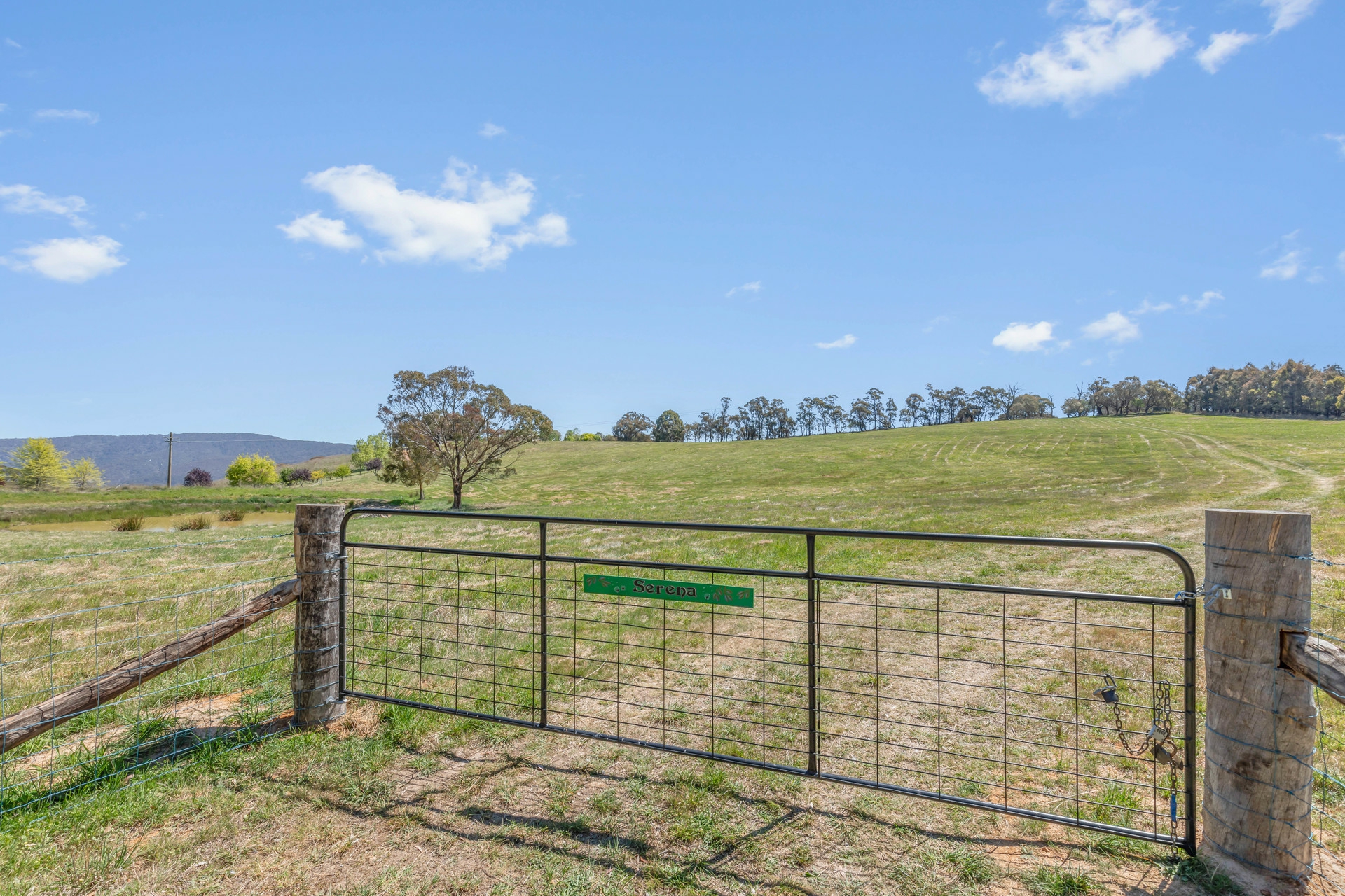 Lot 6 Curly Dick Road Meadow Flat NSW Property Details LJ Hooker