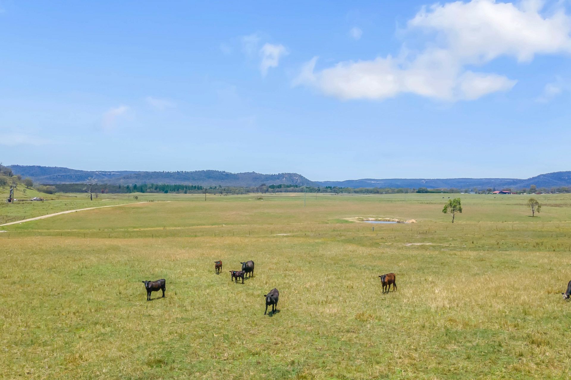 3017 Castlereagh Highway Ben Bullen NSW Lifestyle for Sale LJ Hooker