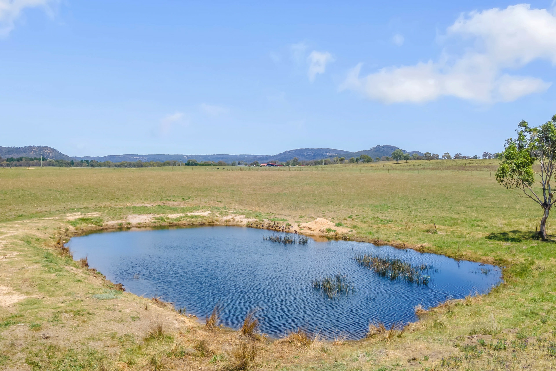 3017 Castlereagh Highway Ben Bullen NSW Lifestyle for Sale LJ Hooker