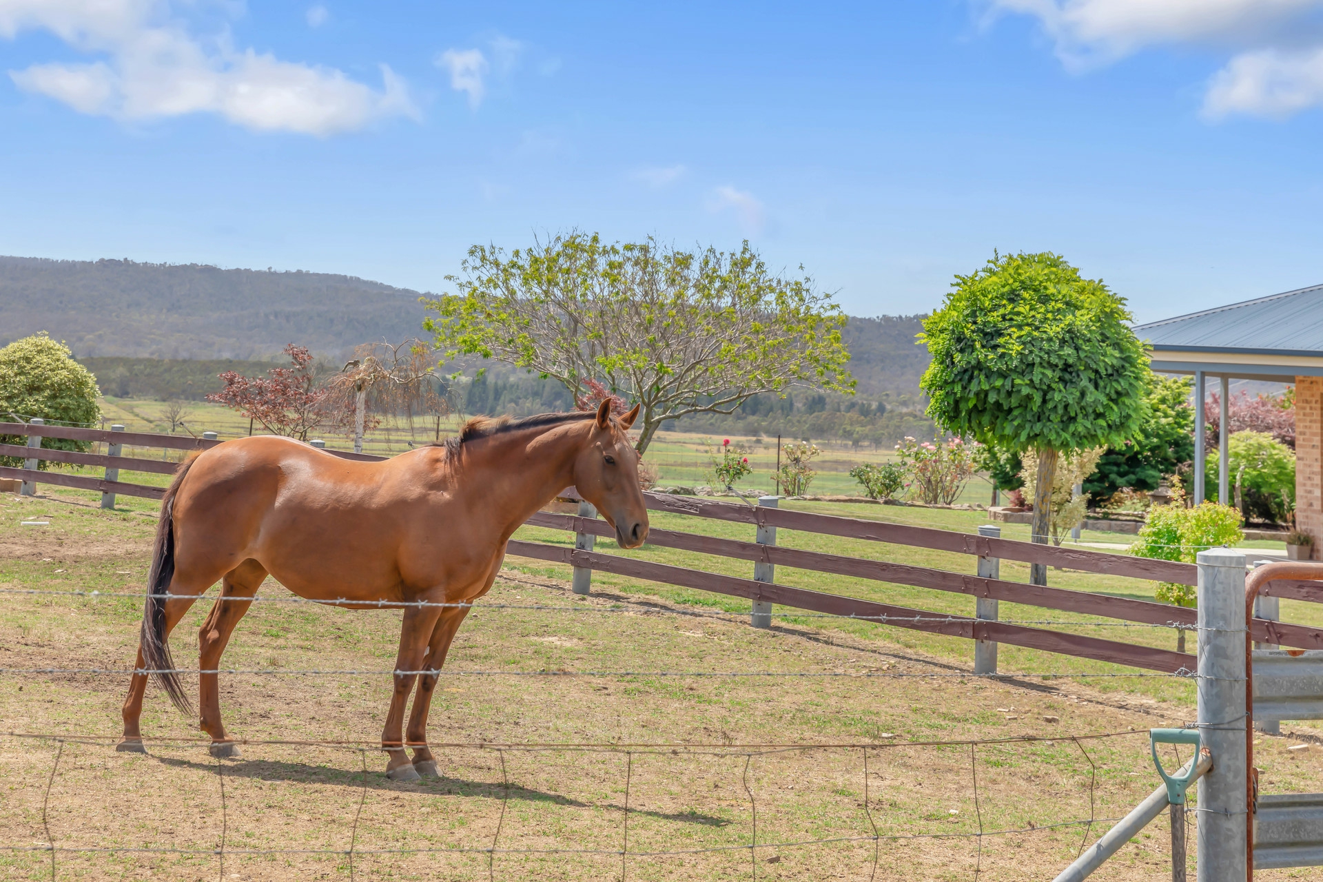 3017 Castlereagh Highway Ben Bullen NSW Lifestyle for Sale LJ Hooker