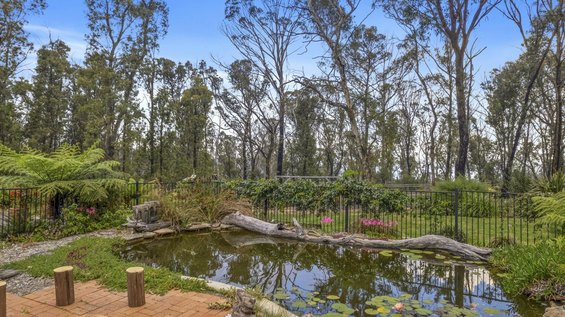 283 Chifley Road, DARGAN