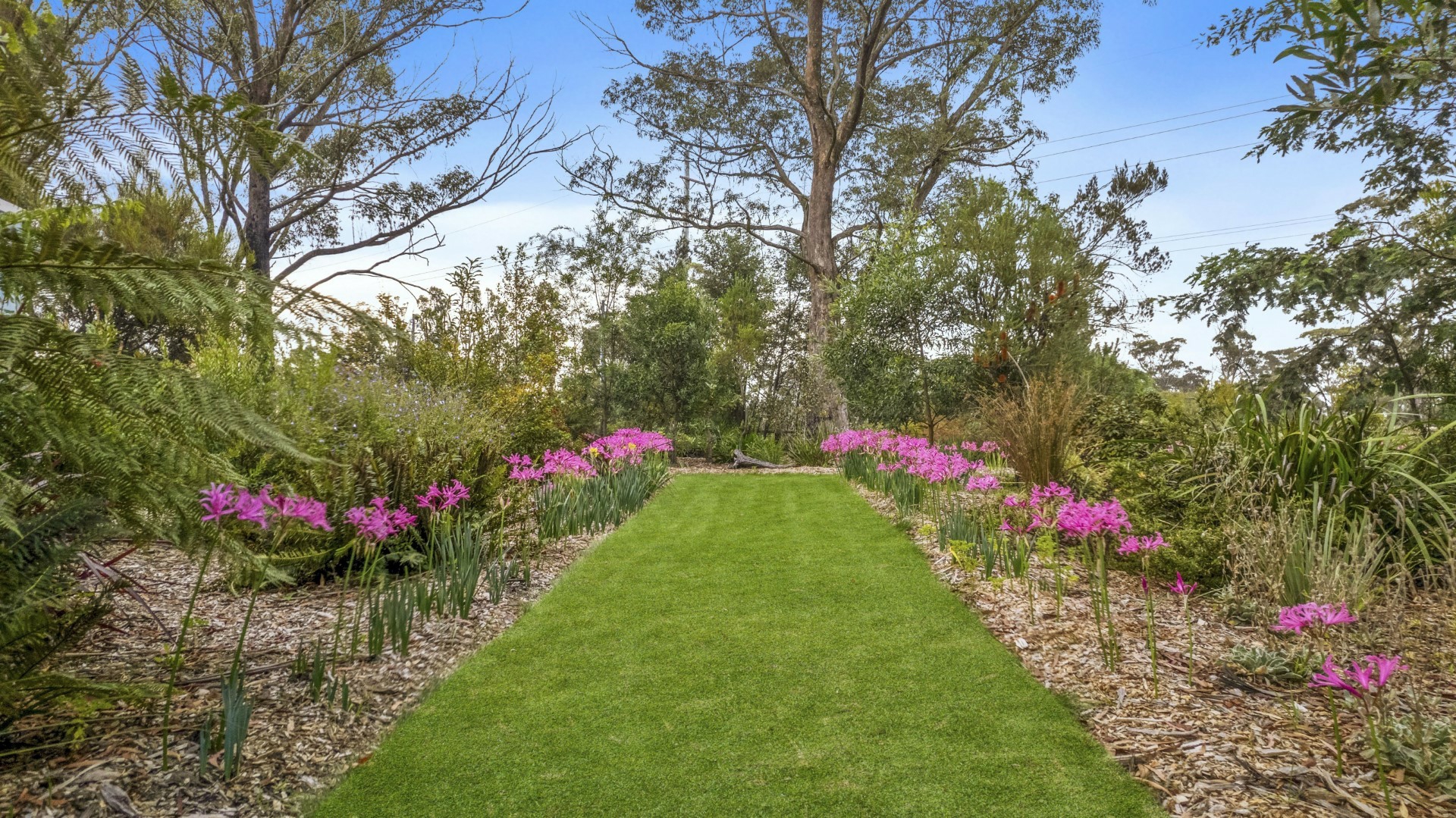 283 Chifley Road, DARGAN