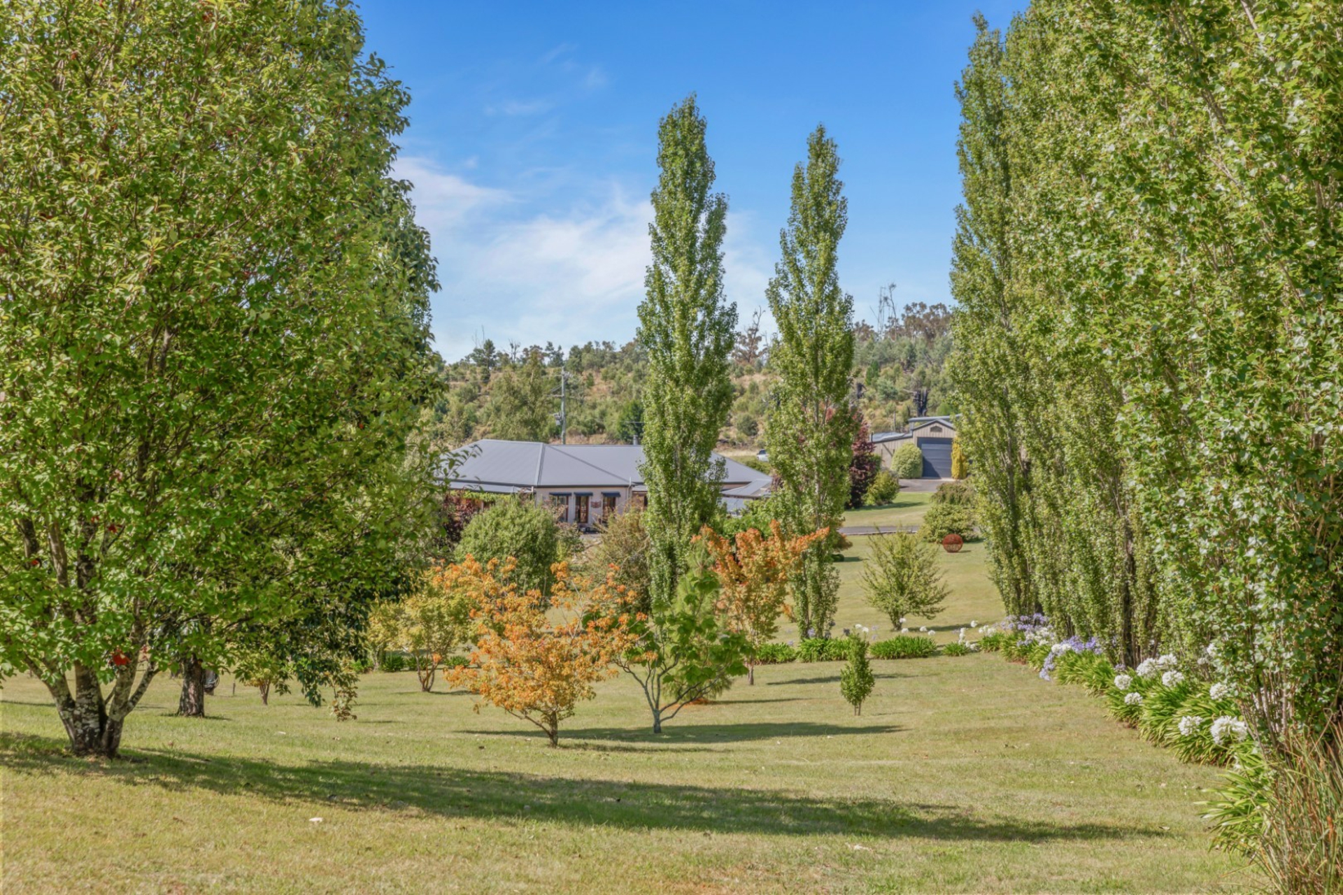 6121 Castlereagh Highway, RUNNING STREAM