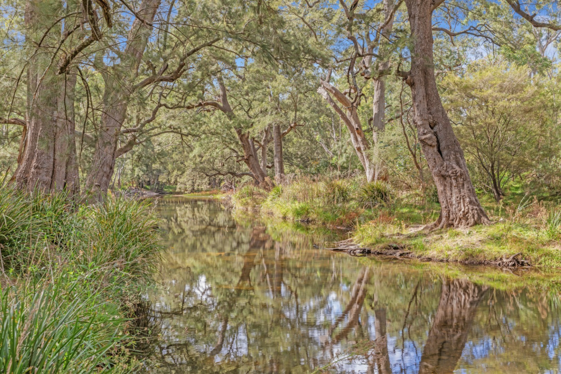 440 McKanes Falls Road, SOUTH BOWENFELS