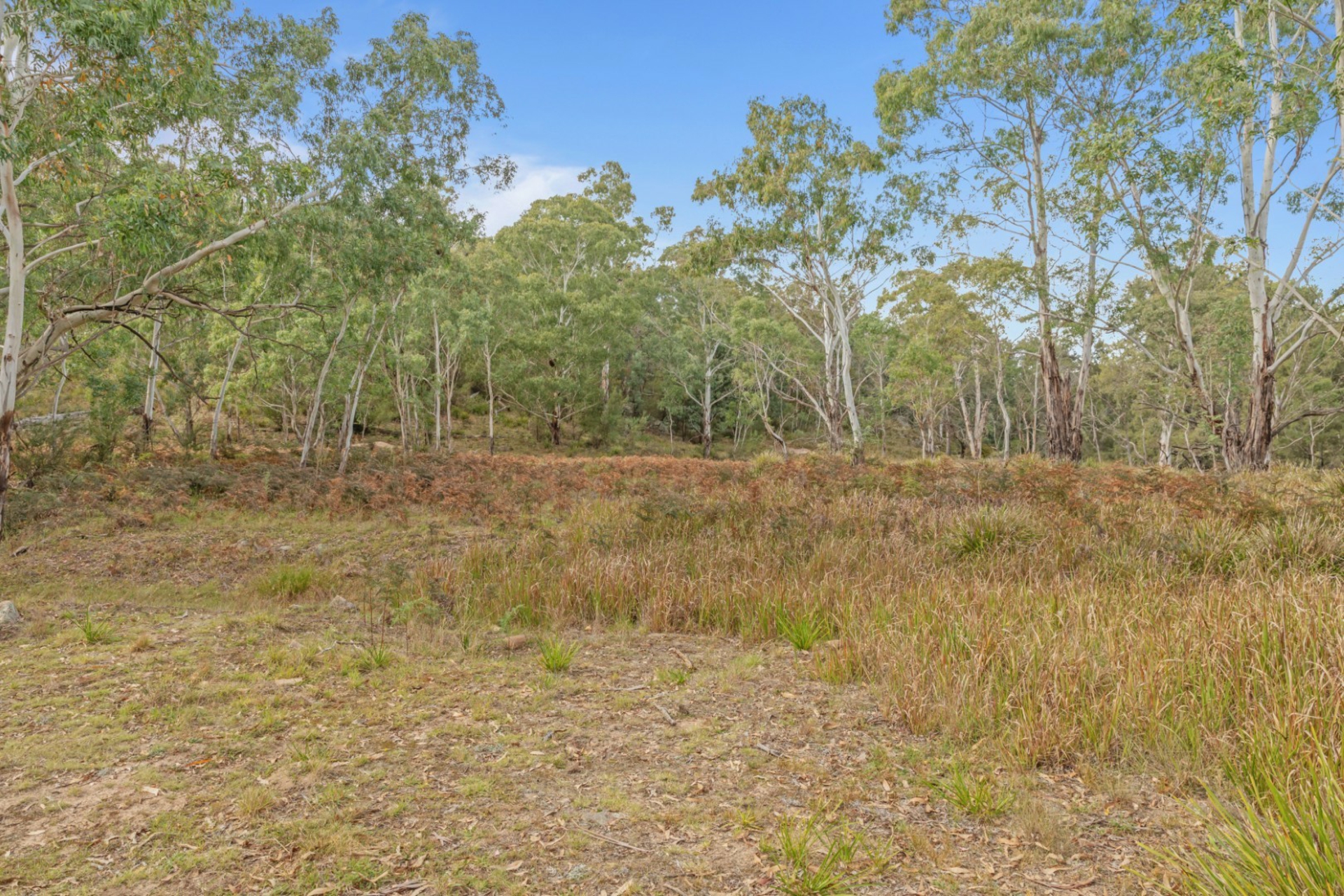 440 McKanes Falls Road, SOUTH BOWENFELS