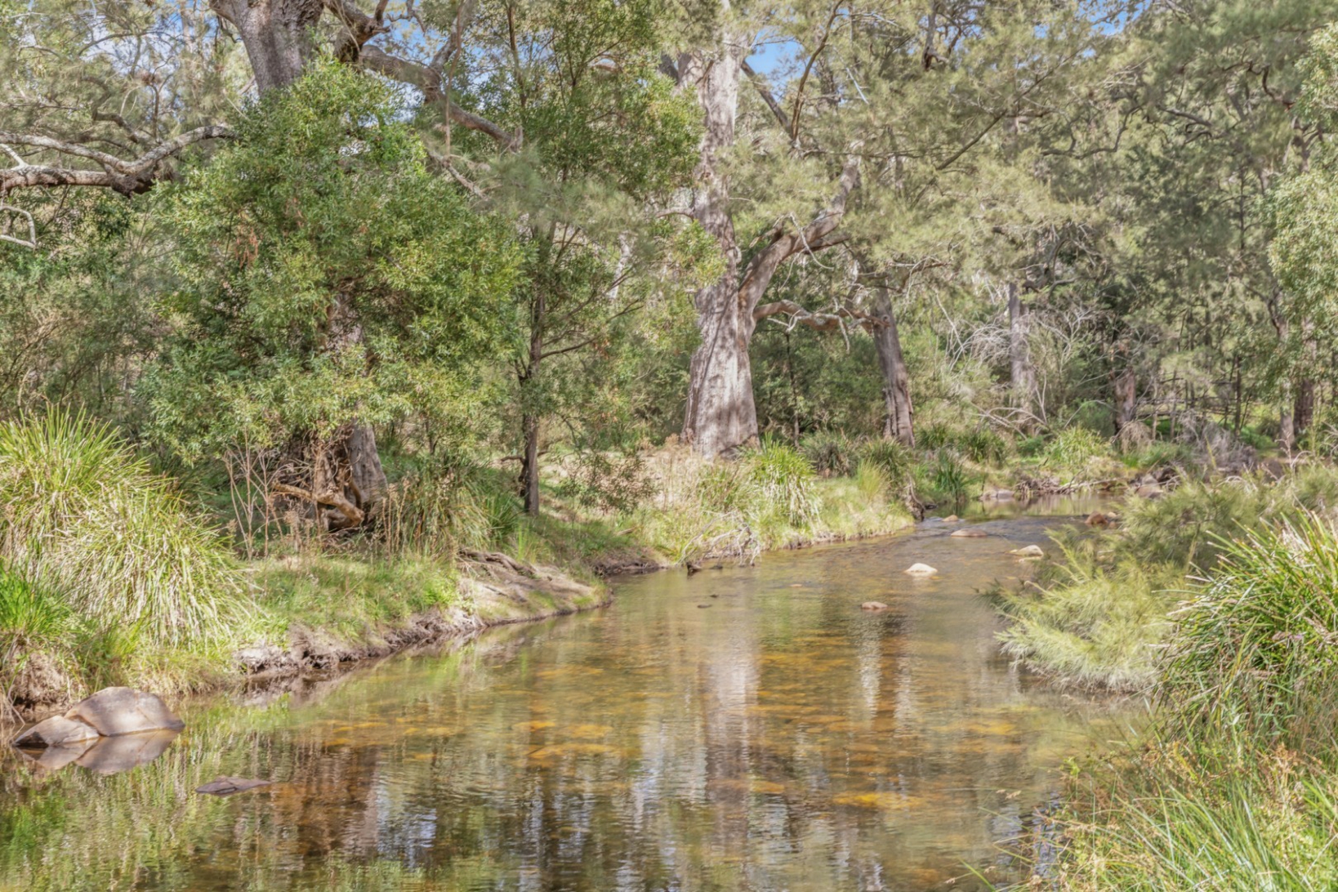 440 McKanes Falls Road, SOUTH BOWENFELS