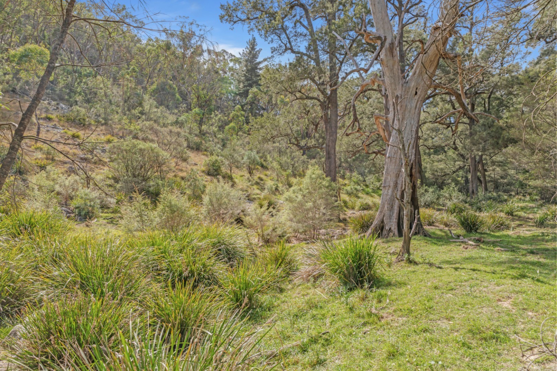 440 McKanes Falls Road, SOUTH BOWENFELS