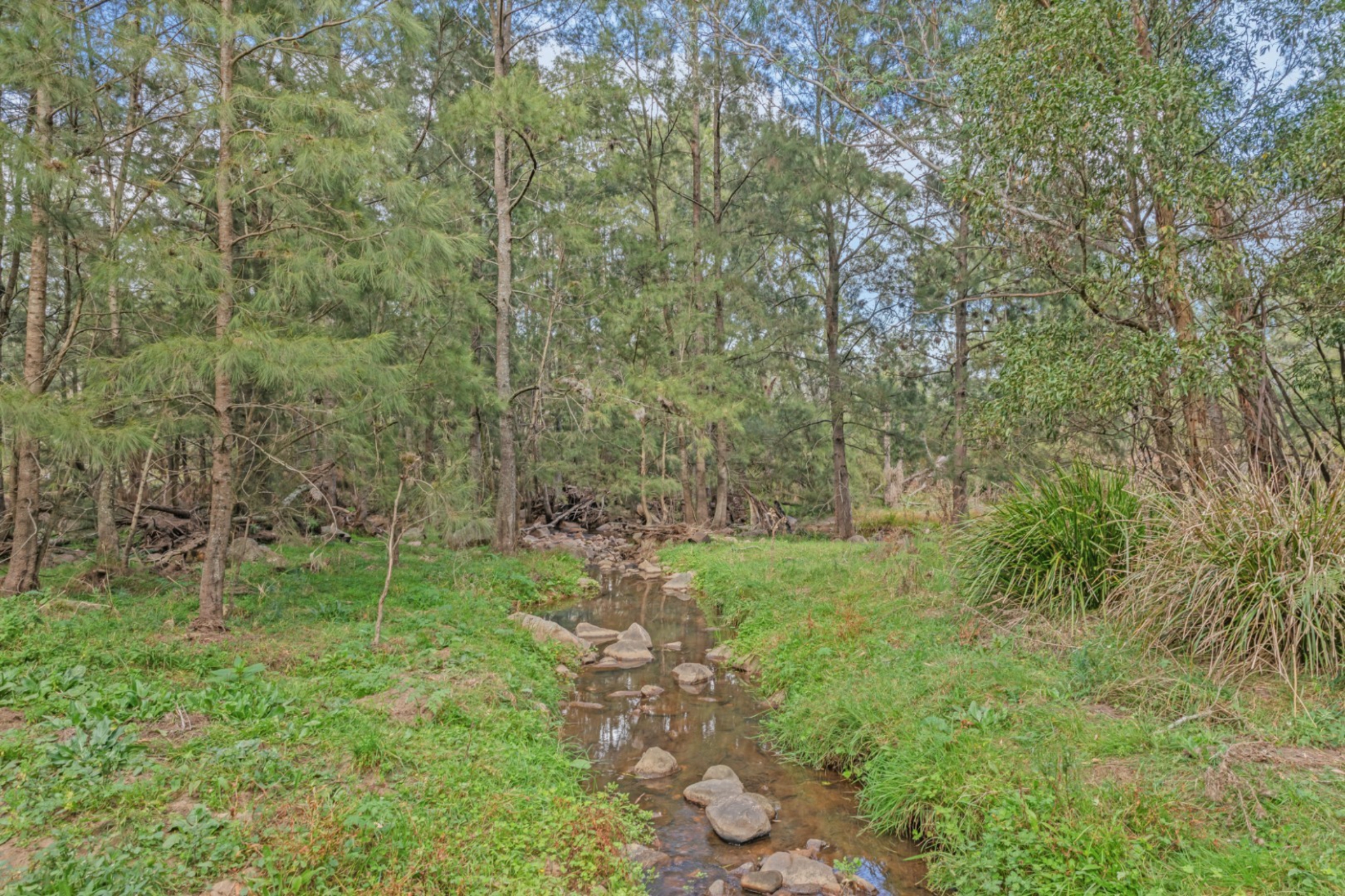 440 McKanes Falls Road, SOUTH BOWENFELS