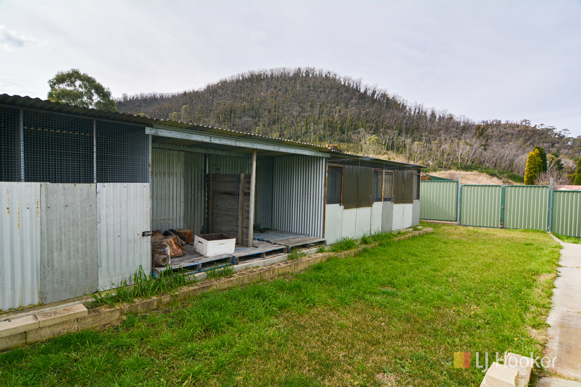 5 Ivatt Street — photo 19 of 21