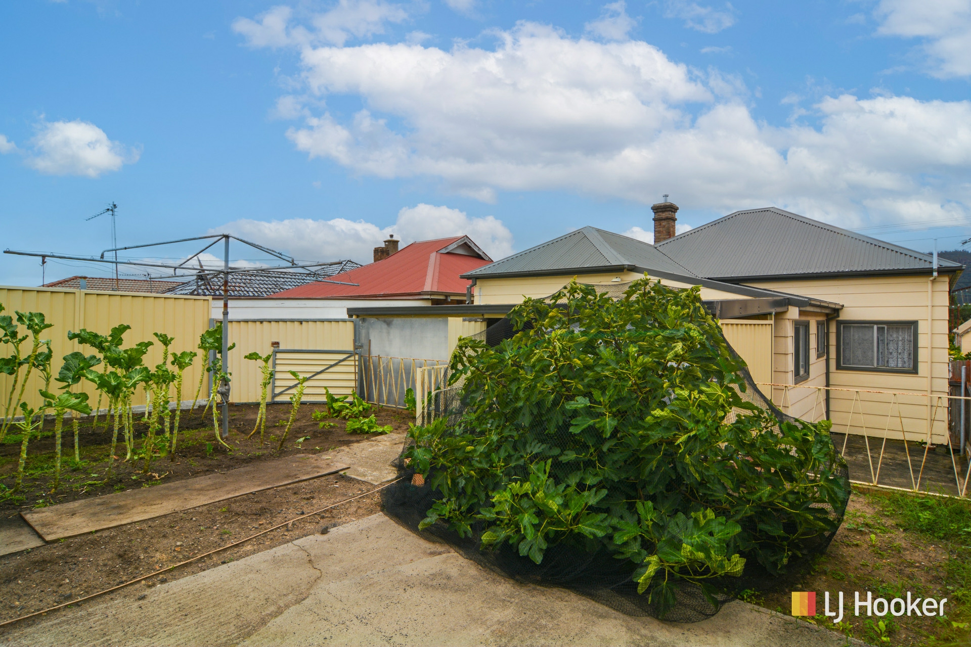 43 Chifley Road — photo 6 of 12