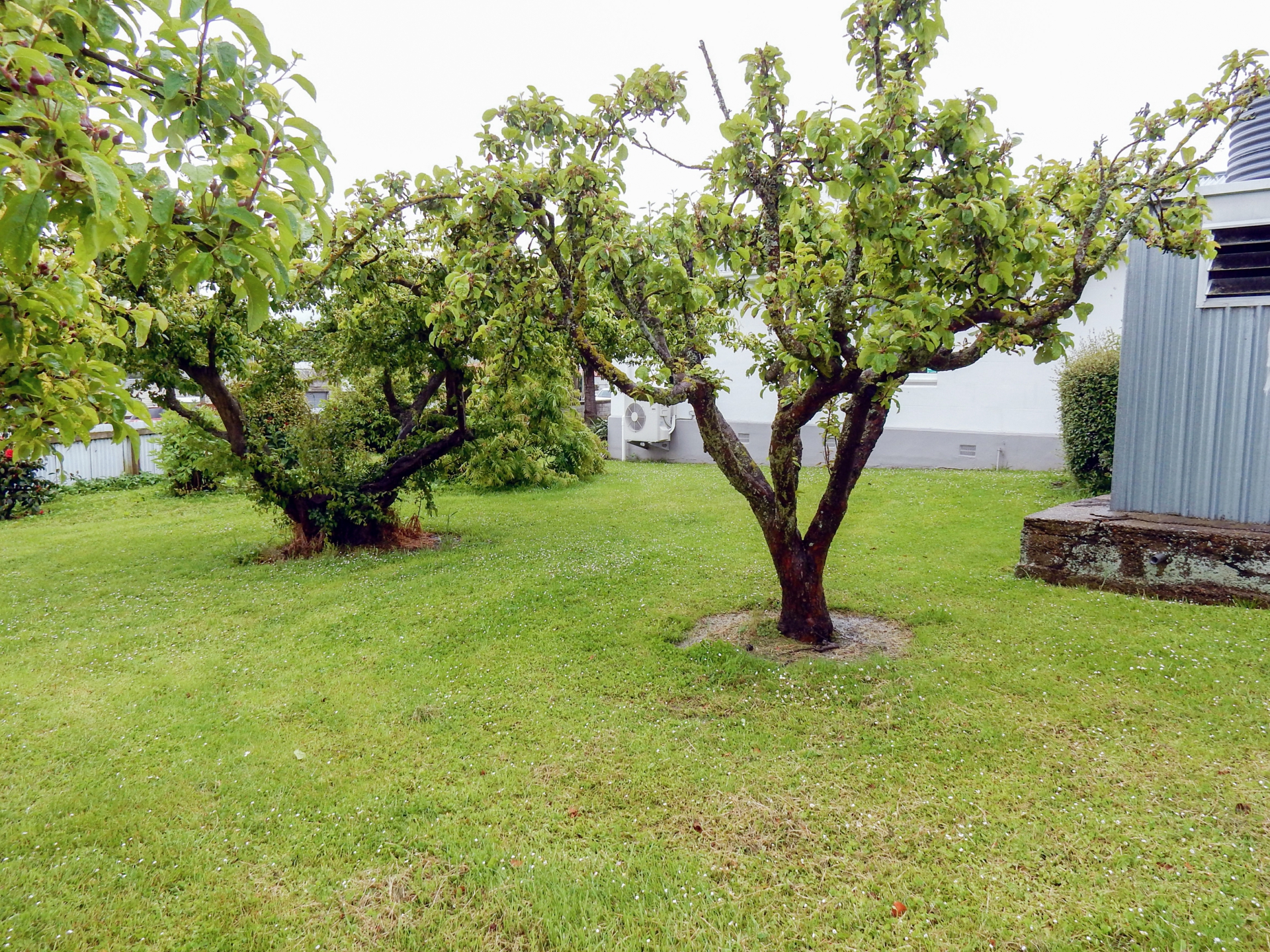 2 Percy Street, WESTON