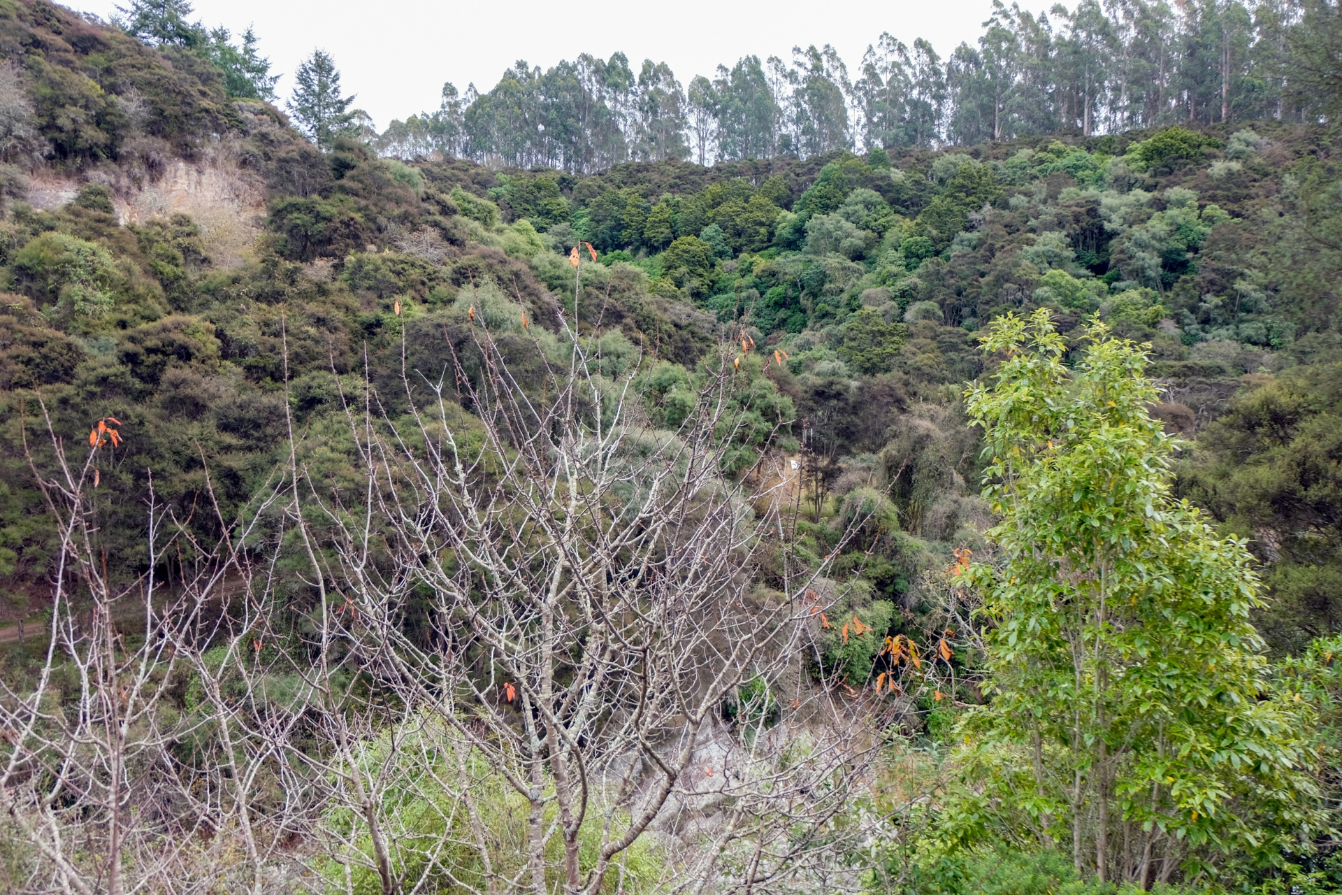 103 Cosey Dell Road Herbert, OAMARU