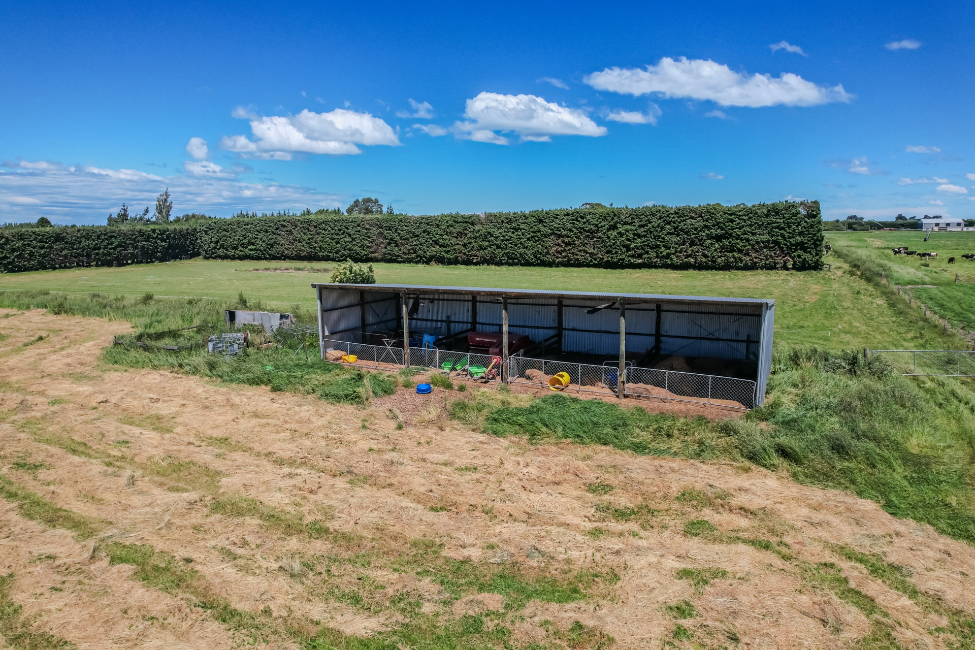 15 Ripon Street, RICHMOND