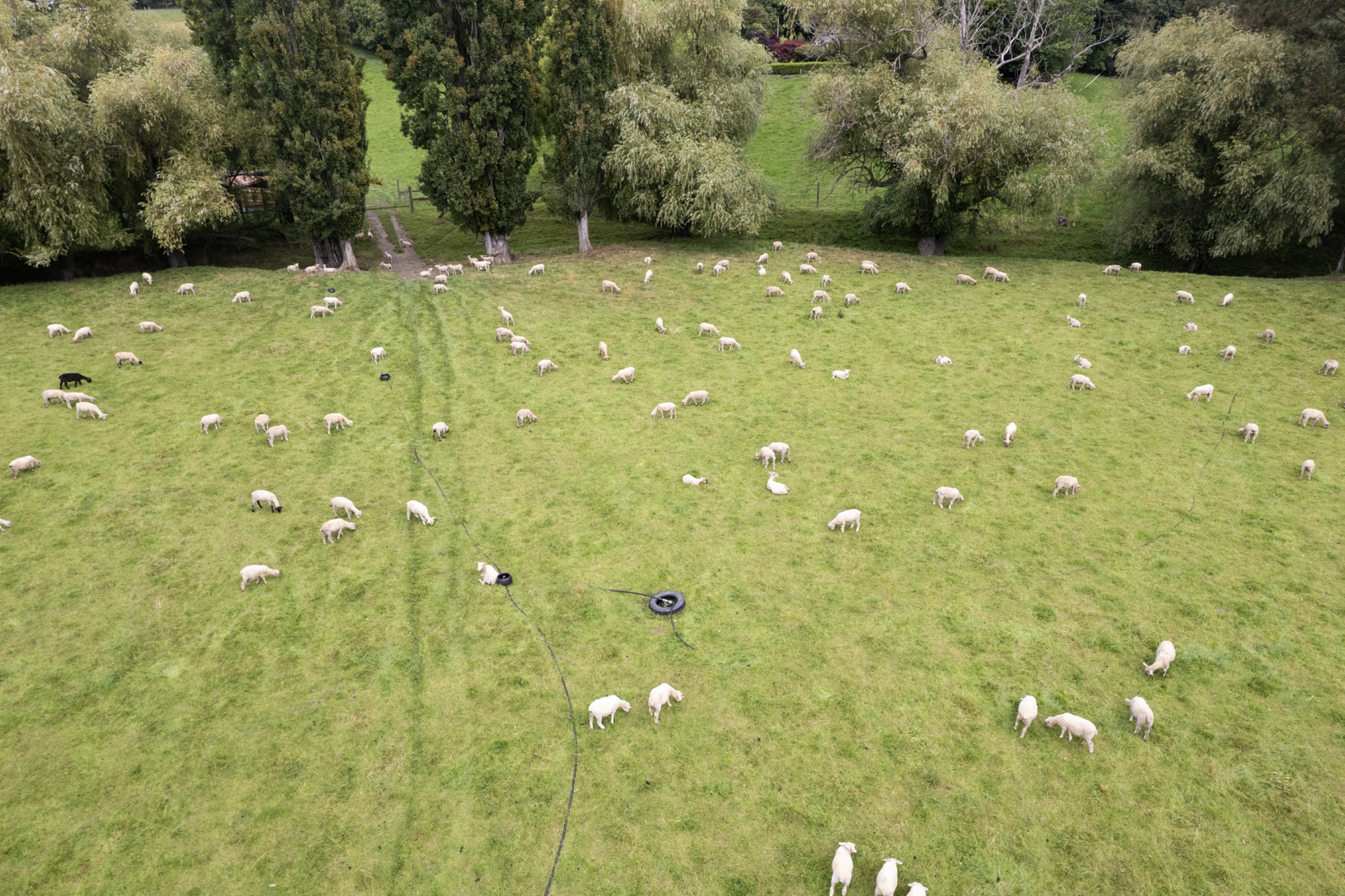 53 Horse Gully Road, PAPAKAIO