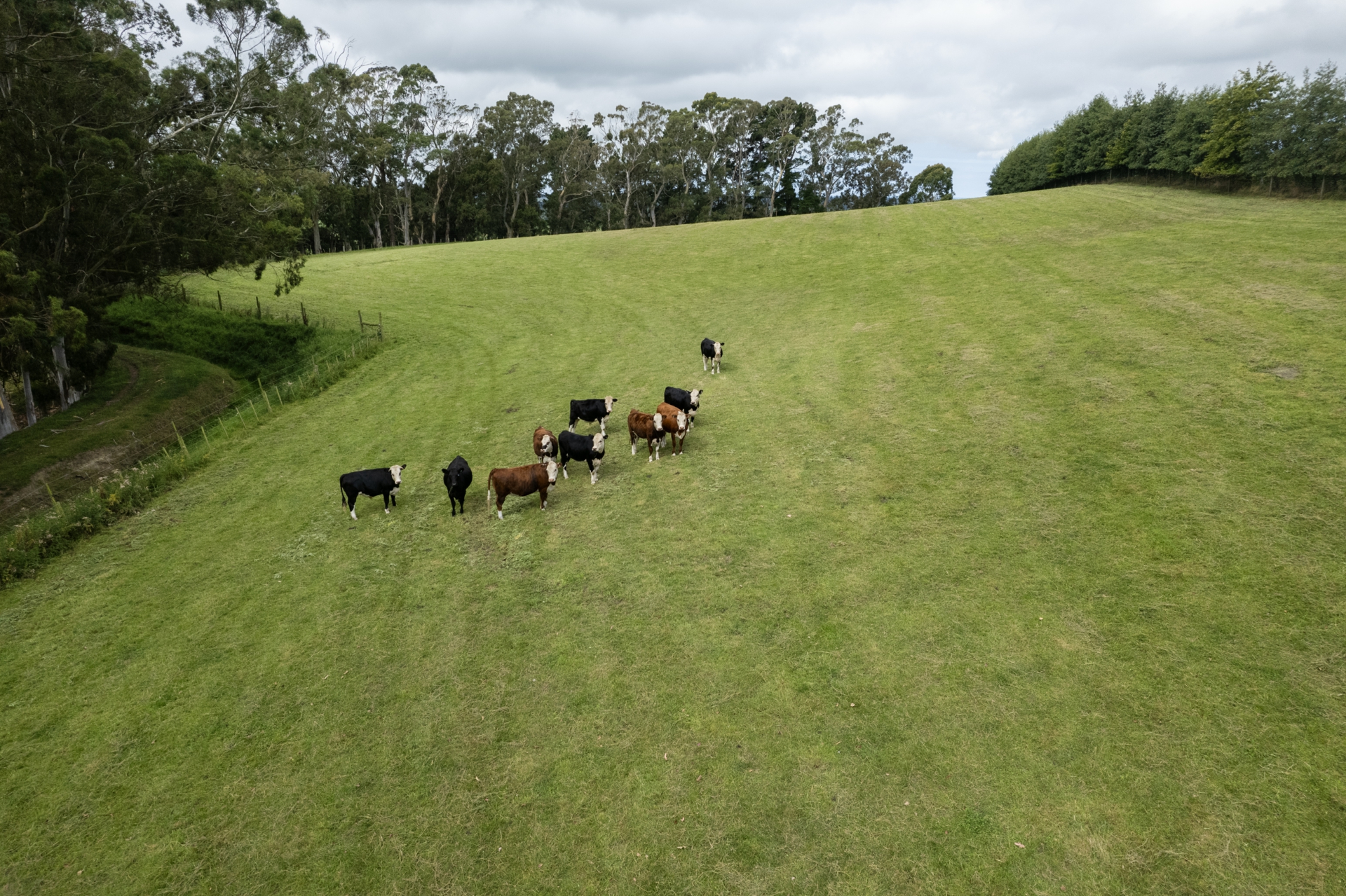 53 Horse Gully Road, PAPAKAIO