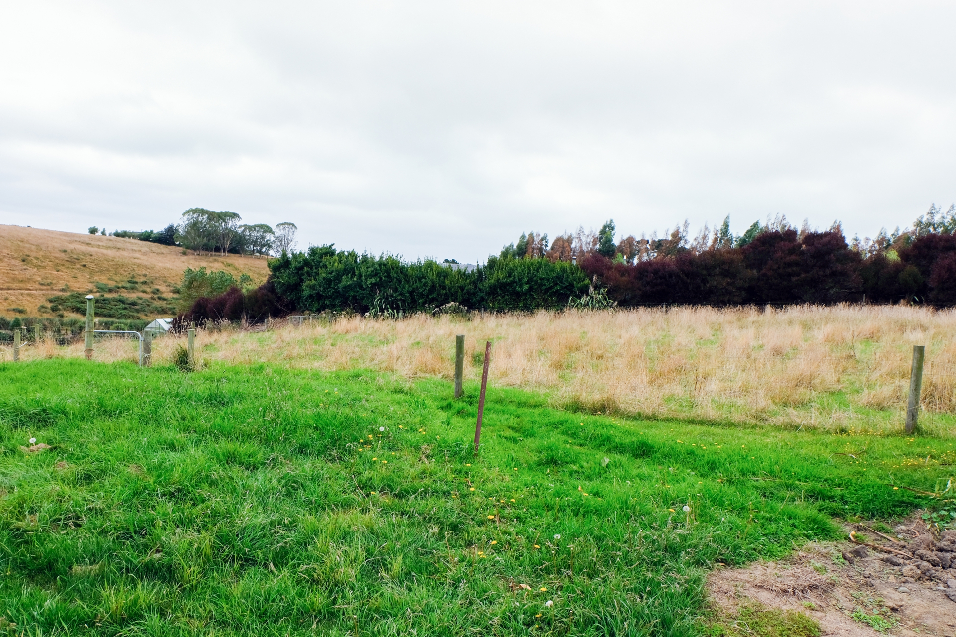 147 Awamoa Road, OAMARU